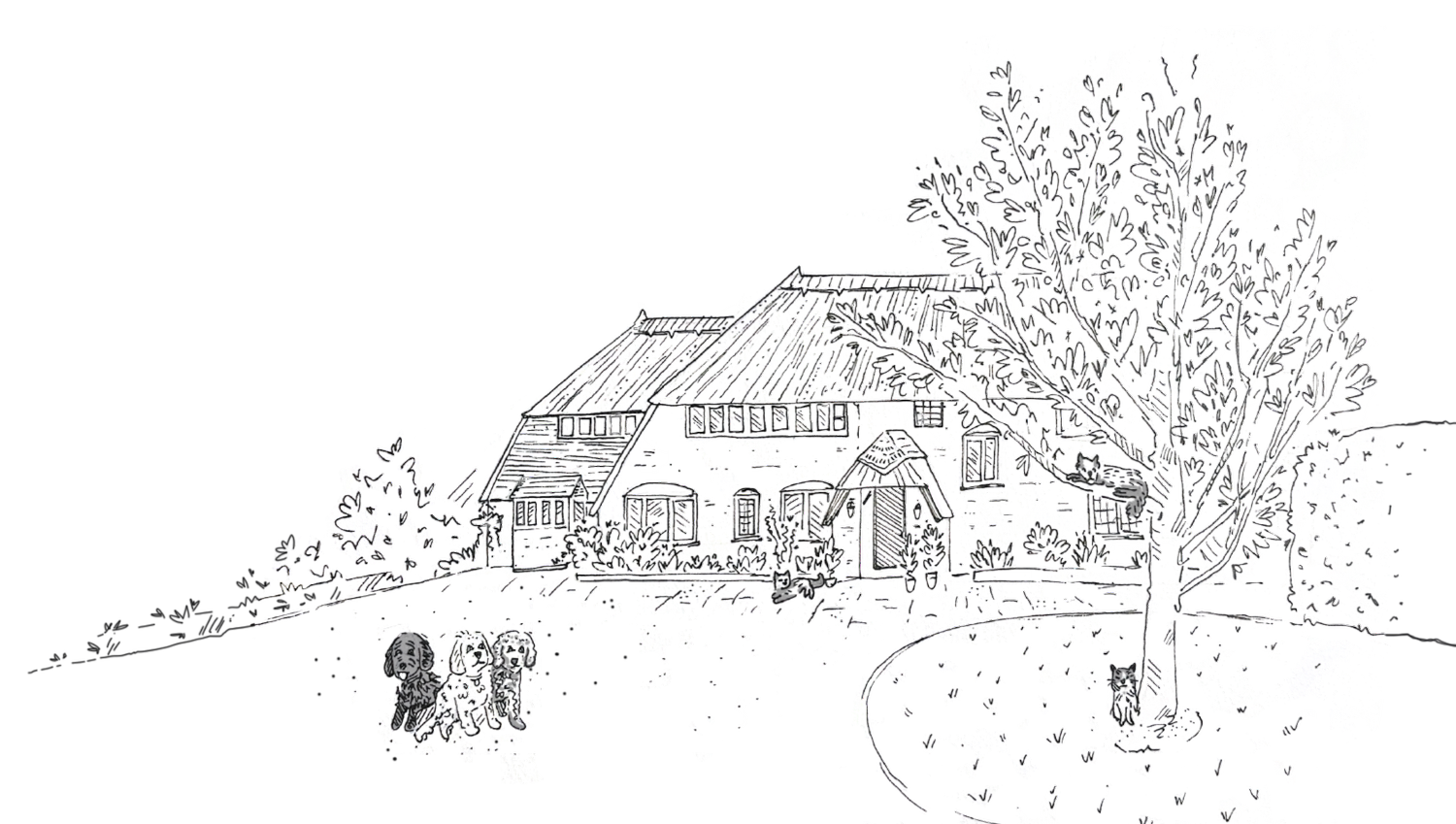 Nettie and Stephen's 60th