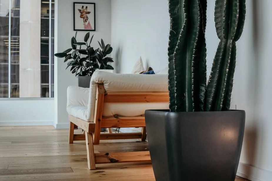 condominium-interior-livingroom_925x.jpg