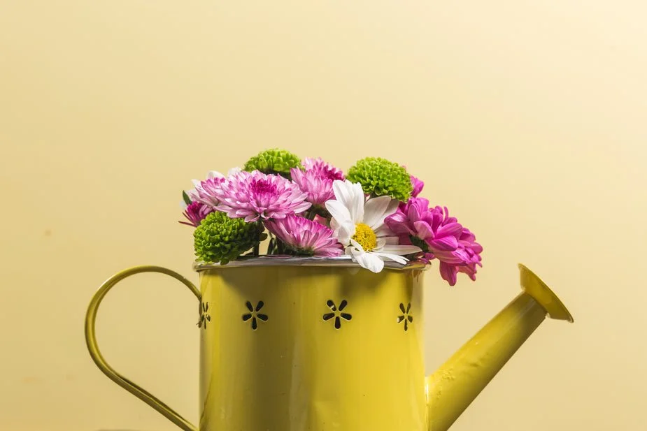 flowers-in-yellow-watering-can_925x.jpg