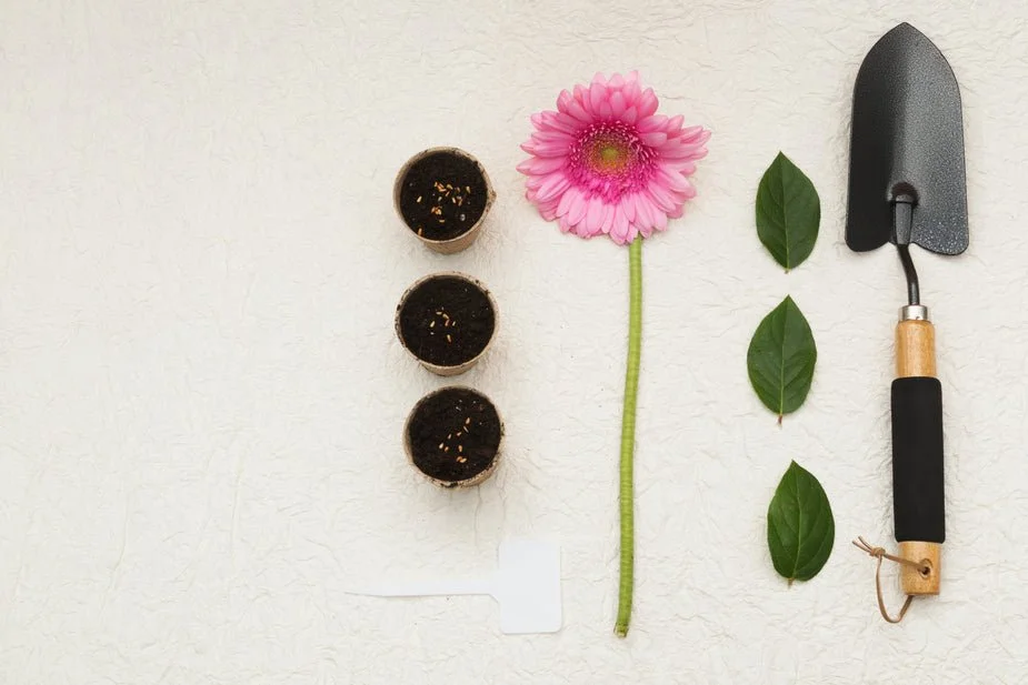 spring-gardening-set-up_925x.jpg