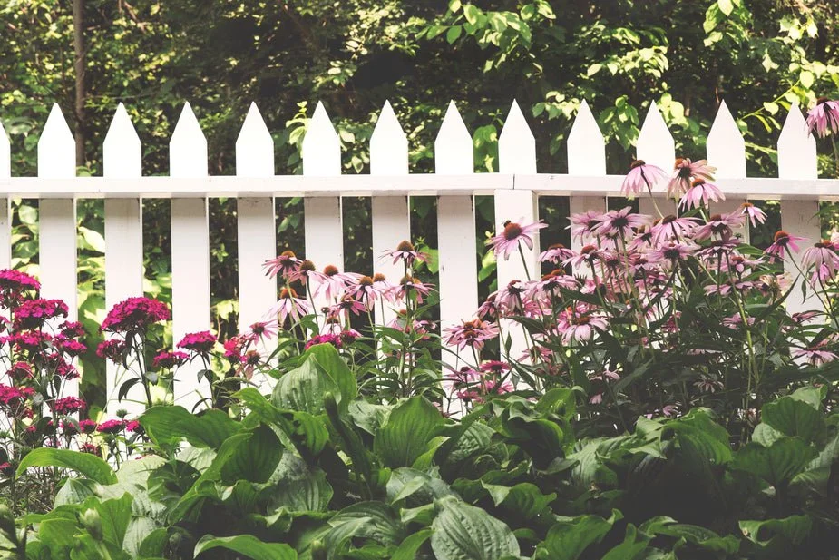 picket-fence-flowers_925x.jpg