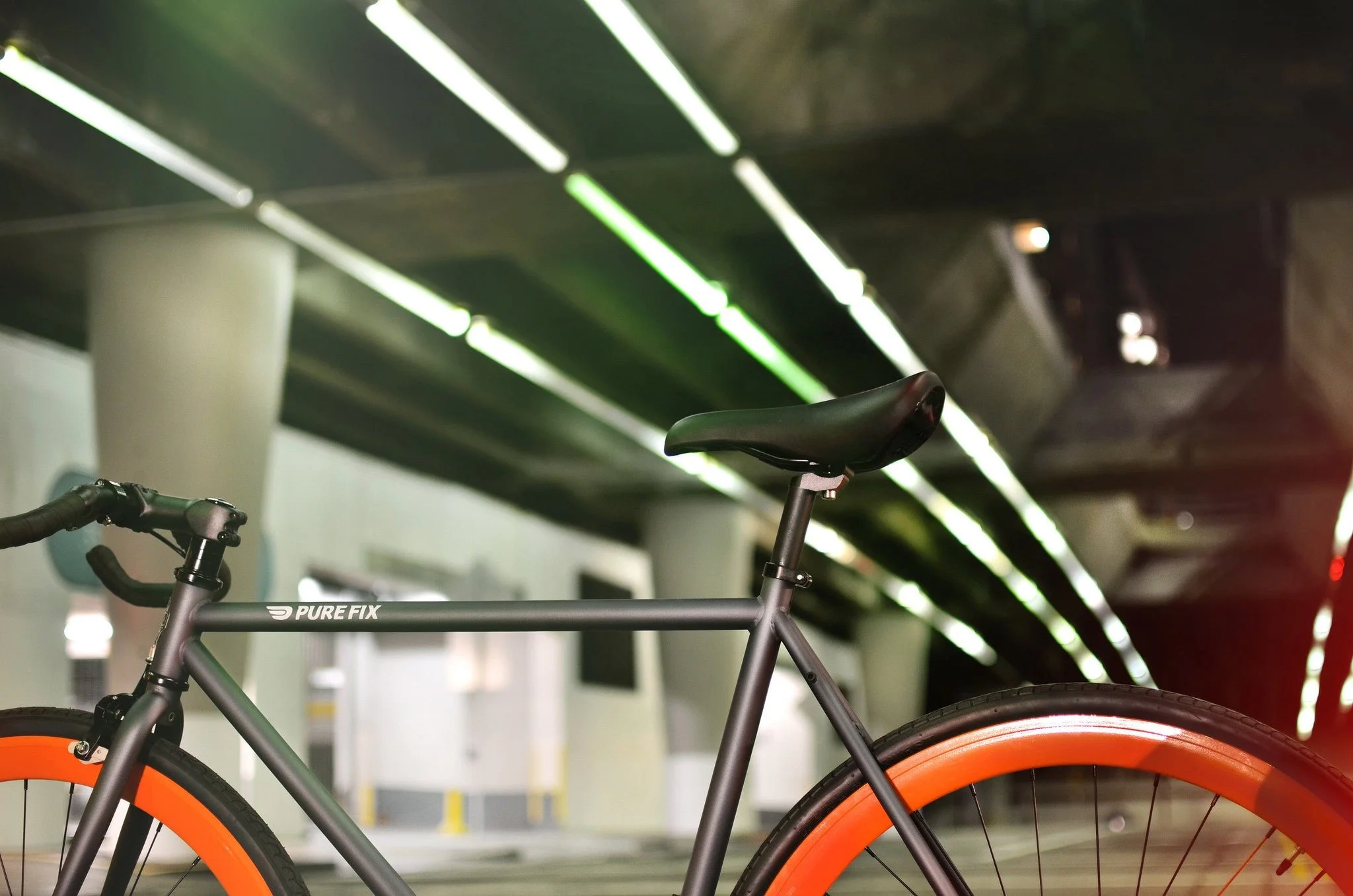 KAR_20131029-4752.jpeg