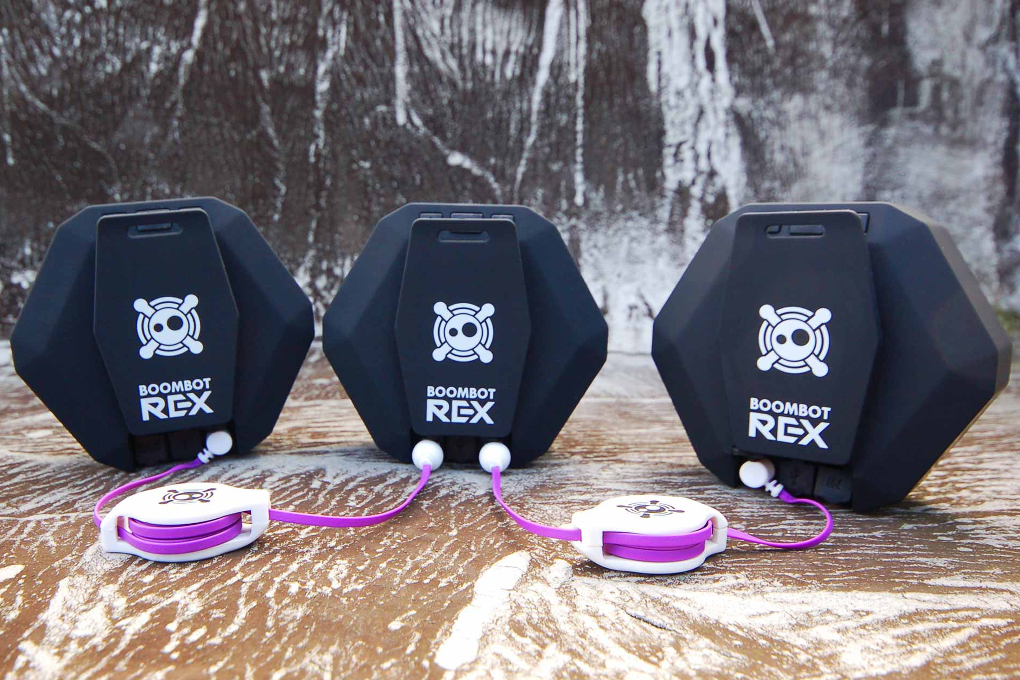 rex-back-3.png