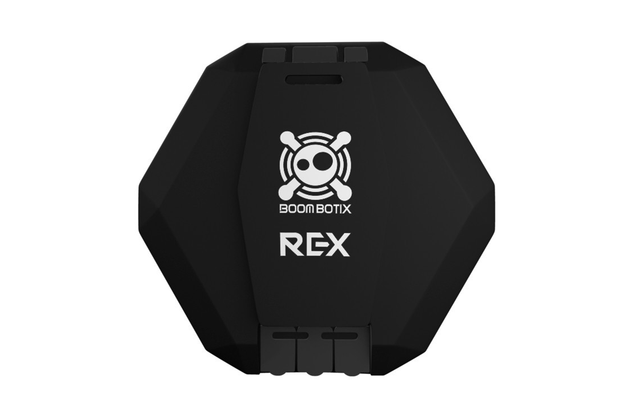rex-back.png