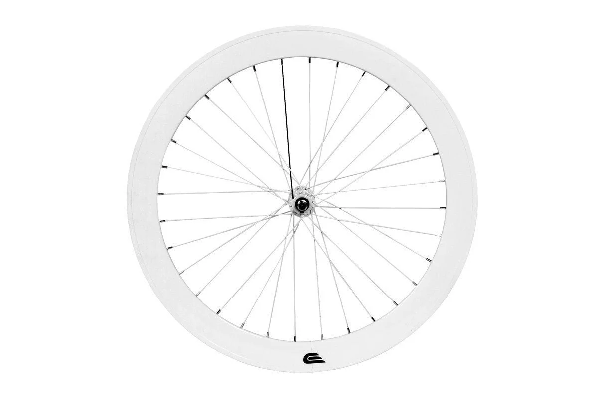 wheelwhite1201_bf16fceb-fe96-422b-b82c-e041ecd3b47c.jpeg