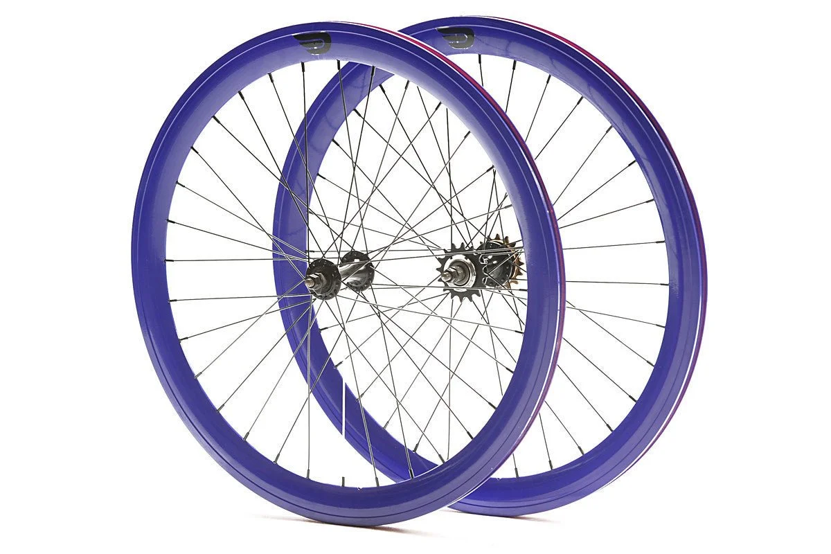 650_blue_web.jpeg