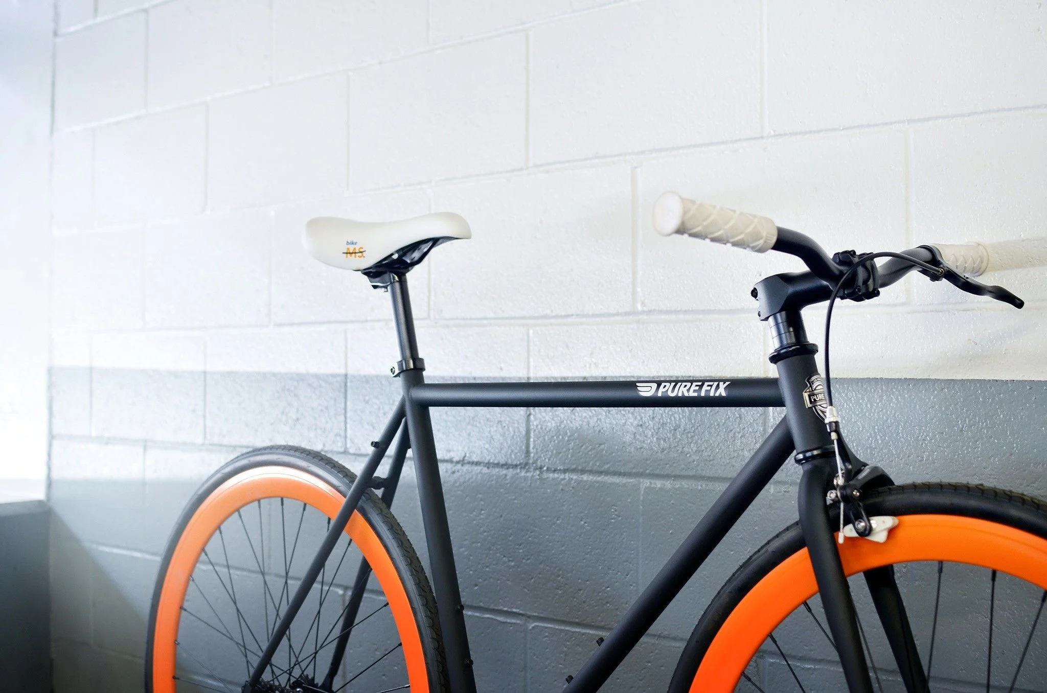 bike-ms-2-WEB.jpeg