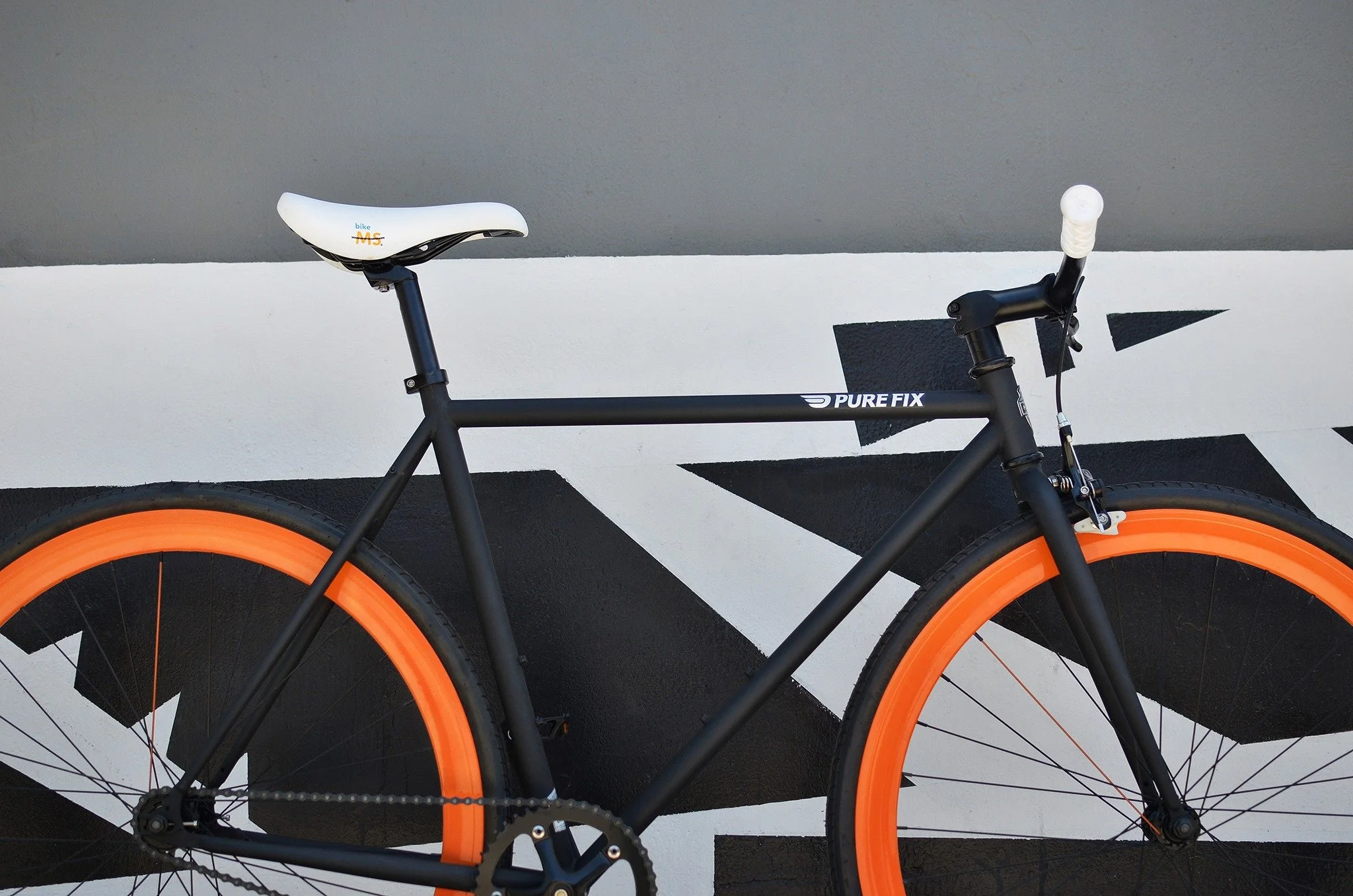 bike-ms-WEB.jpeg