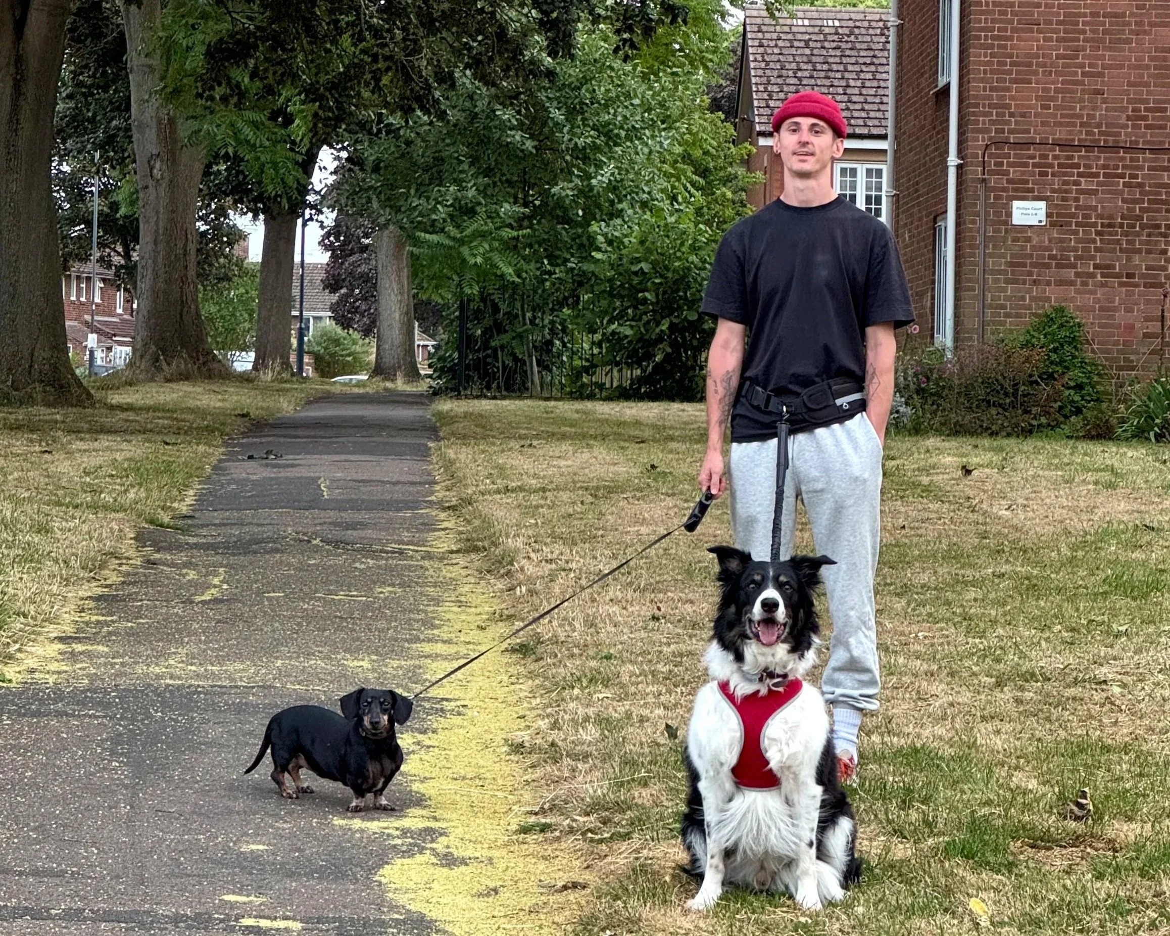 A man with tattoos on his arms stands on a sidewalk holding leashes, with a black and white dog sitting in front of him wearing a red harness. A small black and tan dachshund stands on the sidewalk to his left. The scene is outdoors in a residential area with trees, a grassy lawn, and brick houses.
