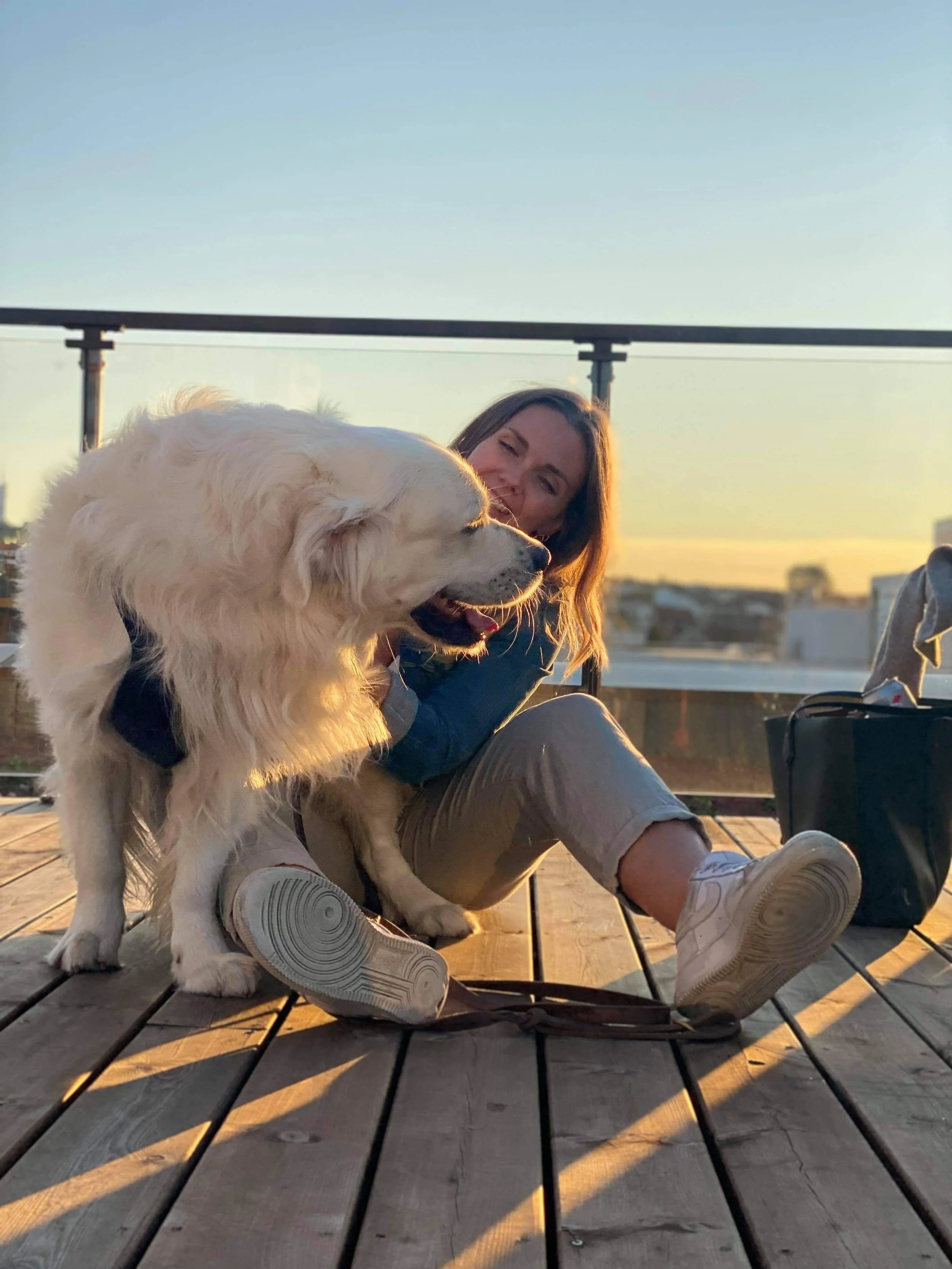A woman sitting on a wooden deck outdoors at sunset with her large white dog.