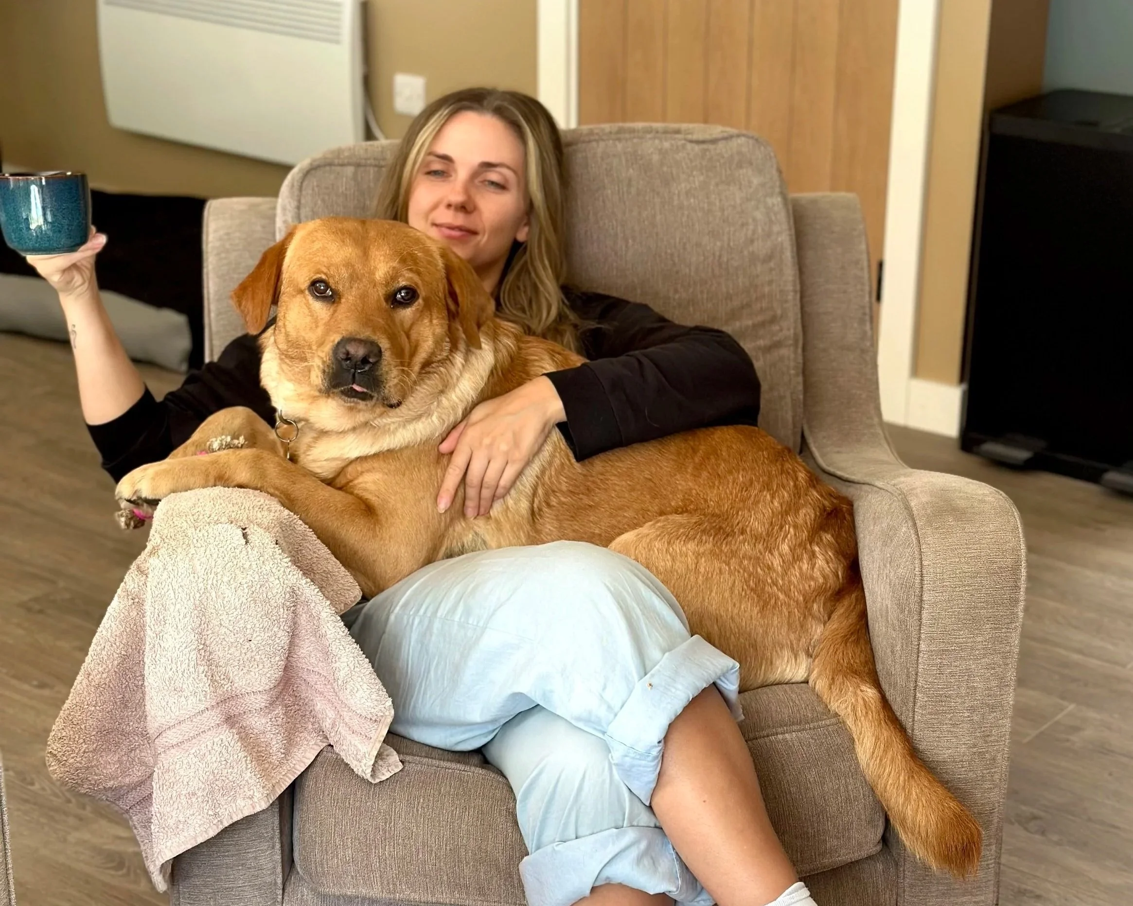 A woman dogsitter relaxing in a beige armchair with a large brown dog lying across her lap and her arm around it, holding a blue mug in her left hand.