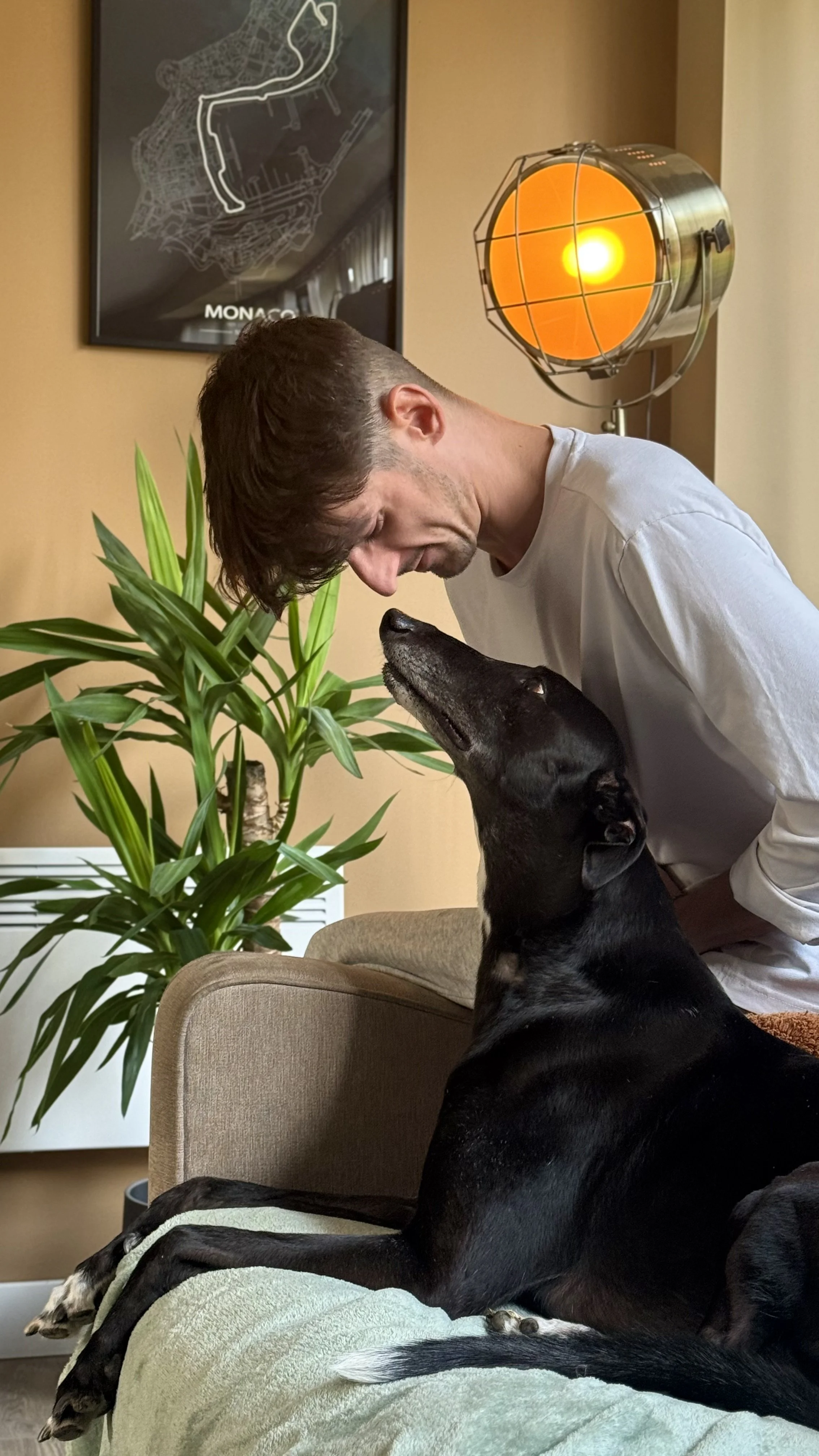 A man and a black dog are touching noses inside a living room. The man is leaning over a sofa, and the dog is lying on the sofa with its head raised. There is a large green plant and wall art in the background, along with a vintage-style orange desk lamp.