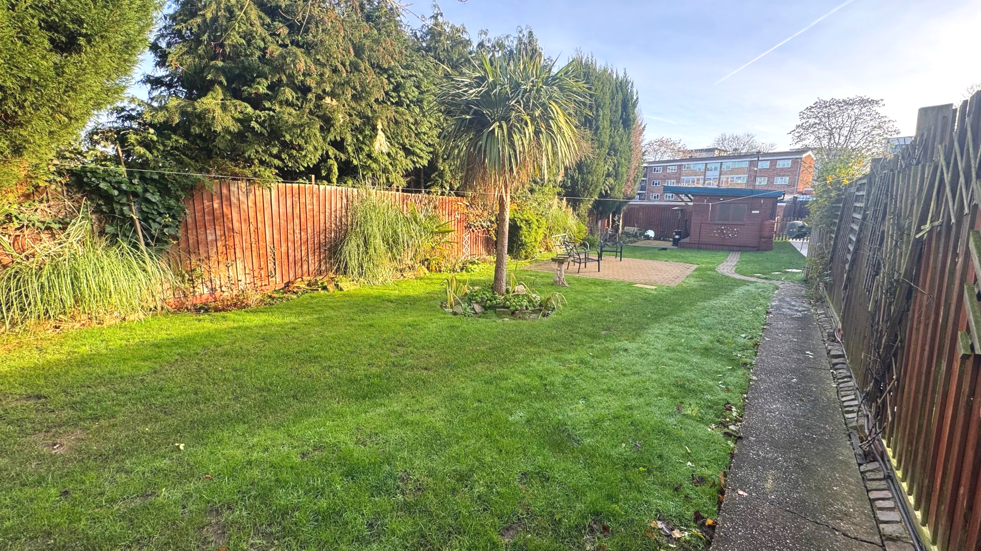 View of a backyard garden with a palm tree at the center, surrounded by a grassy lawn, various bushes, and tall trees, with a wooden fence on both sides and a small paved area with benches and a shed in the background, under a clear sky.
