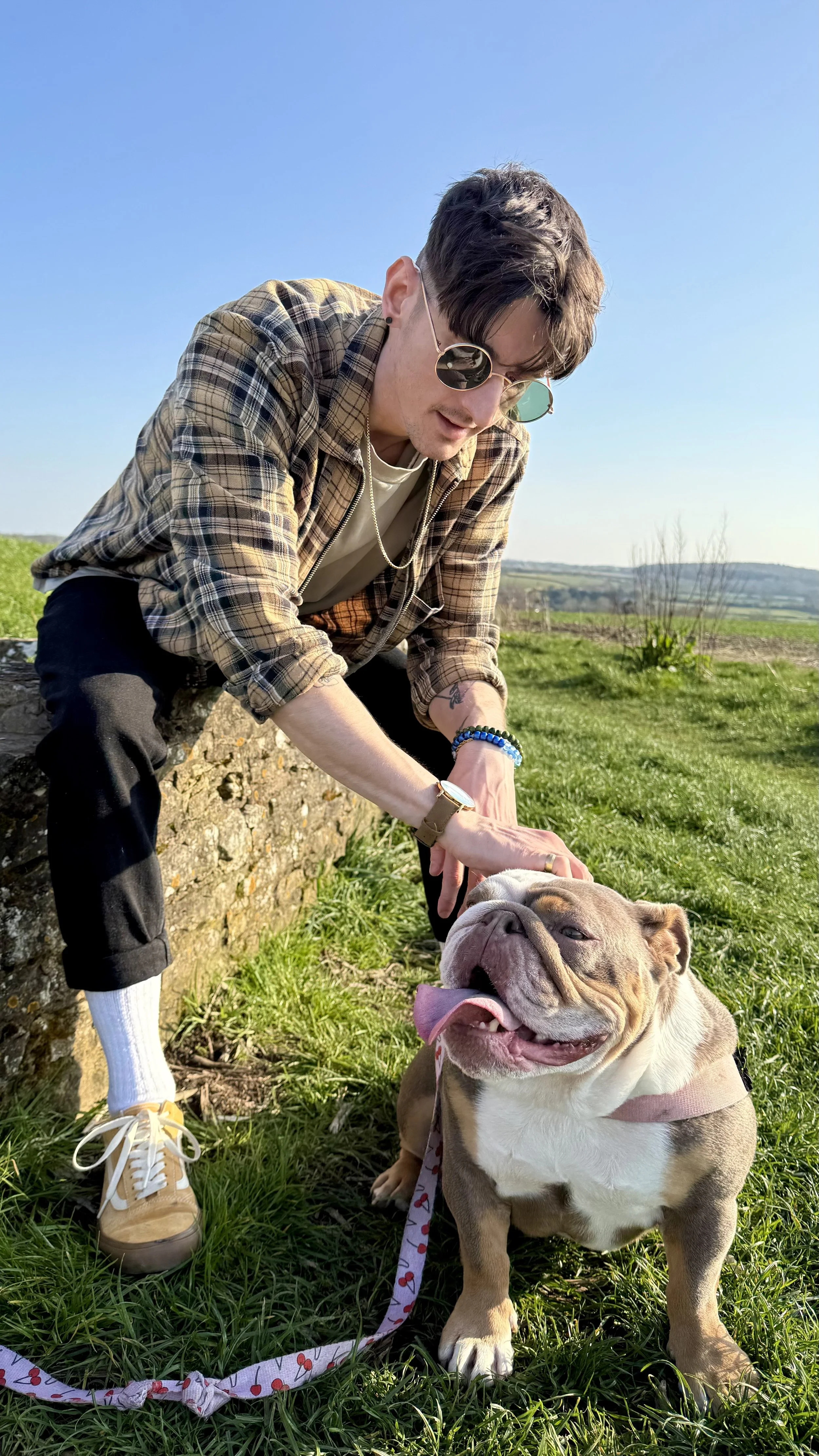 A man with sunglasses and casual clothing petting an English Bulldog dog outdoors on a grassy field with a clear blue sky.