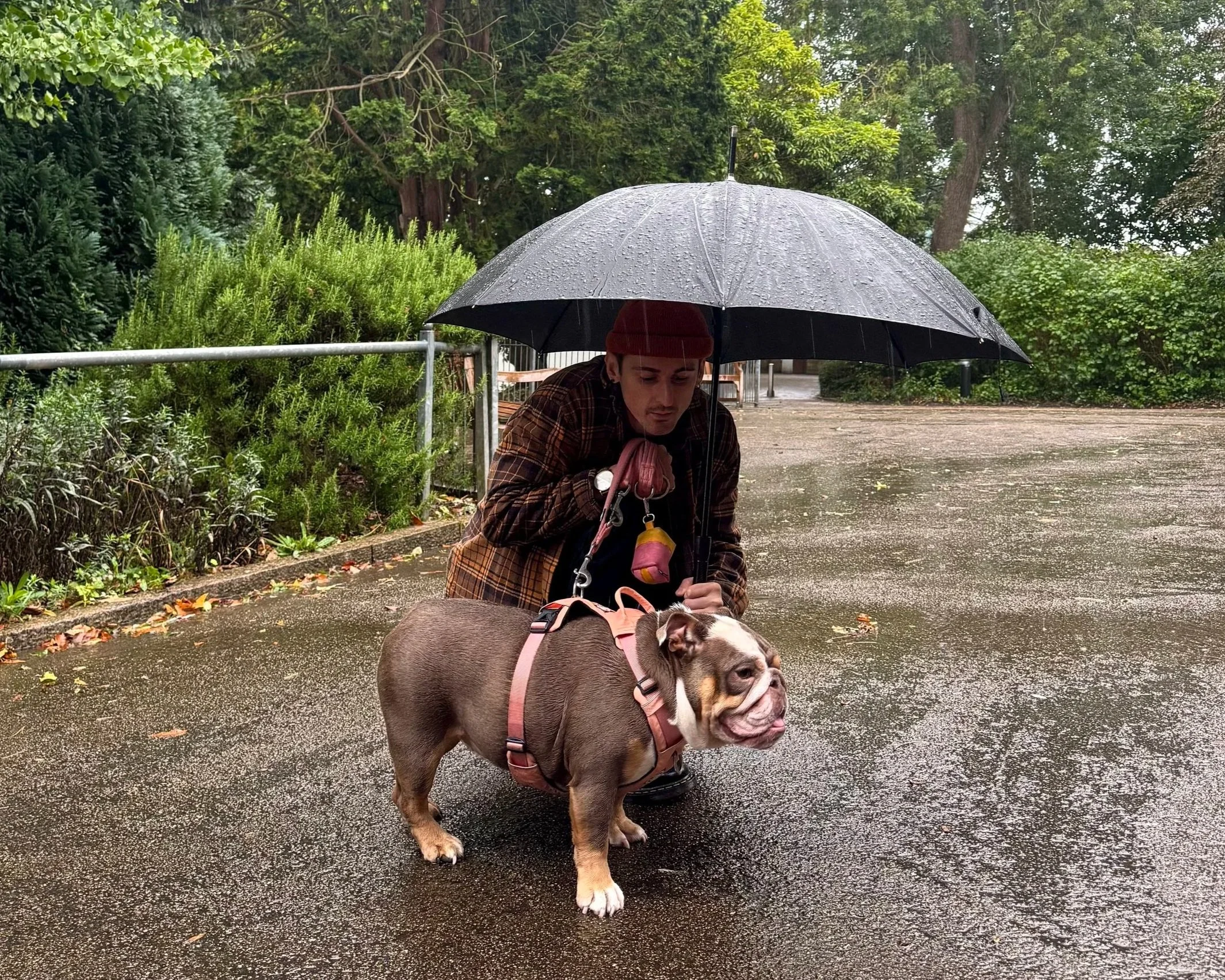 A young man crouching with a dog on a leash underneath a black umbrella on a wet, rainy day in a park with green trees and bushes.