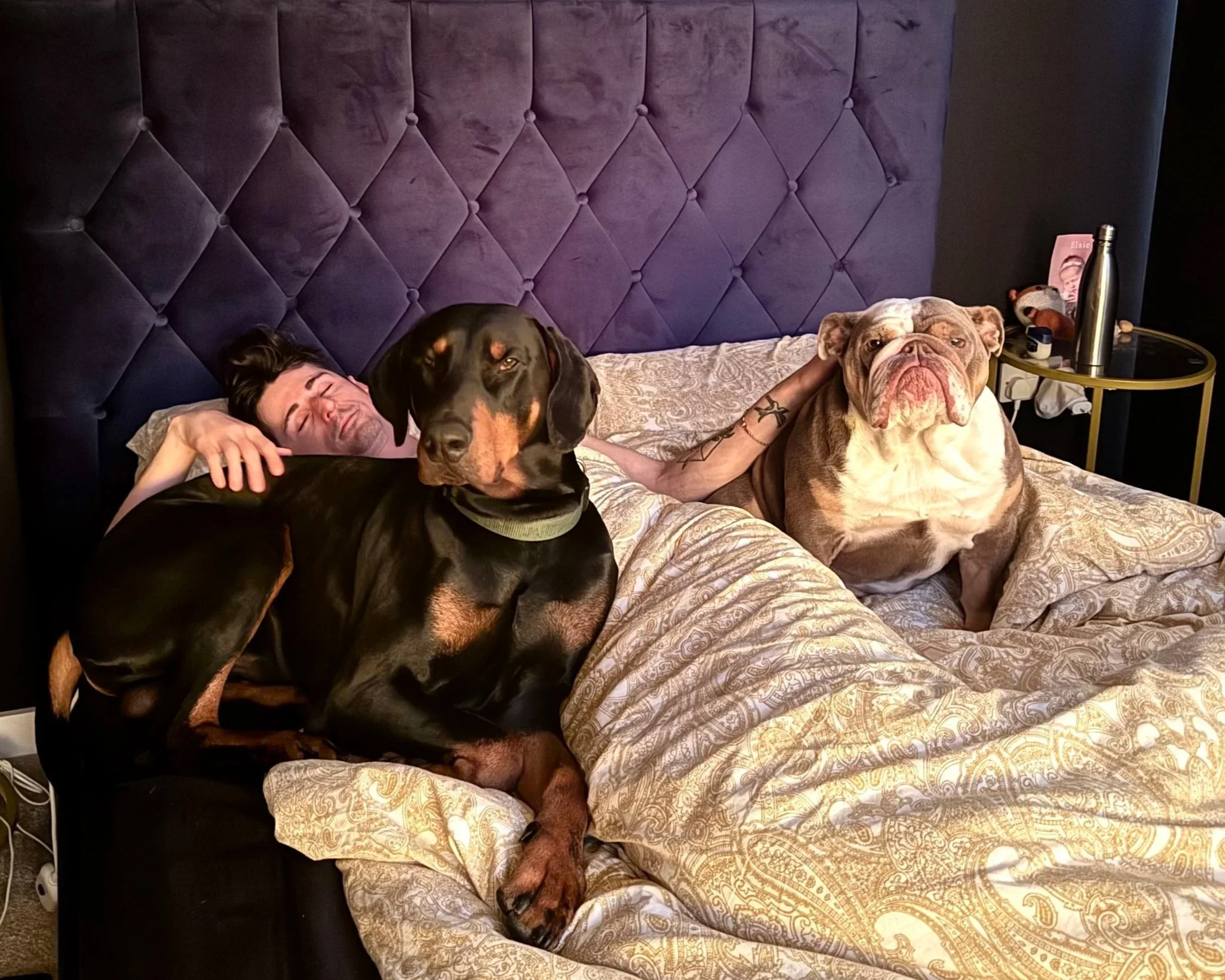 A man sleeping in bed with two large dogs, a Rottweiler and an English Bulldog. The man has black hair and is lying on his side, with one arm over the Rottweiler, which is sitting on the bed. The English Bulldog is sitting on the bed near the man's head. The bed has a patterned comforter, and there is a black headboard. A nightstand with a water bottle and other items is visible to the side.