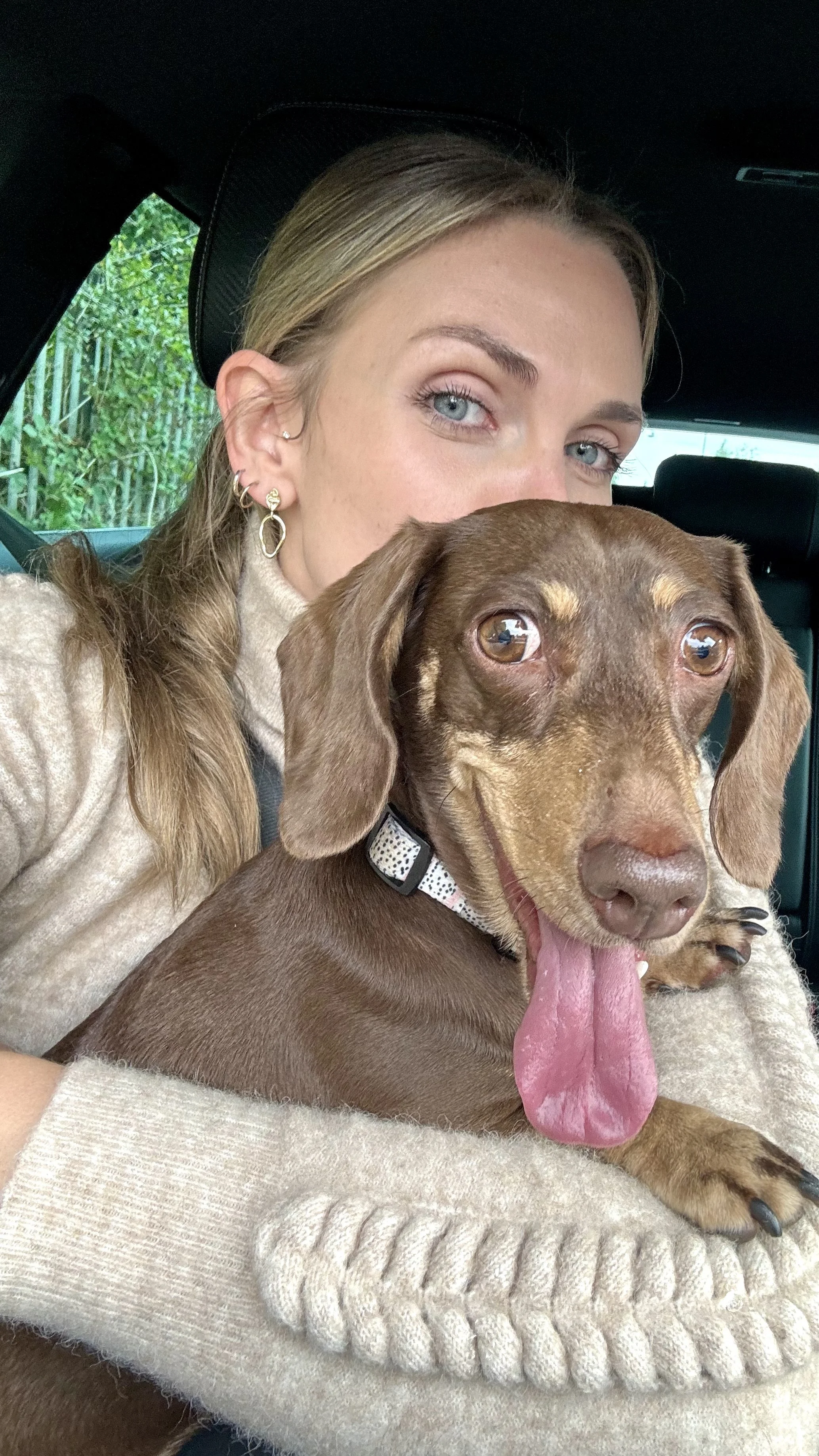 A woman with blonde hair, blue eyes, and earrings, sitting in a car and holding a happy, brown Dachshund dog with its tongue out. There is greenery and a fence outside the car window.