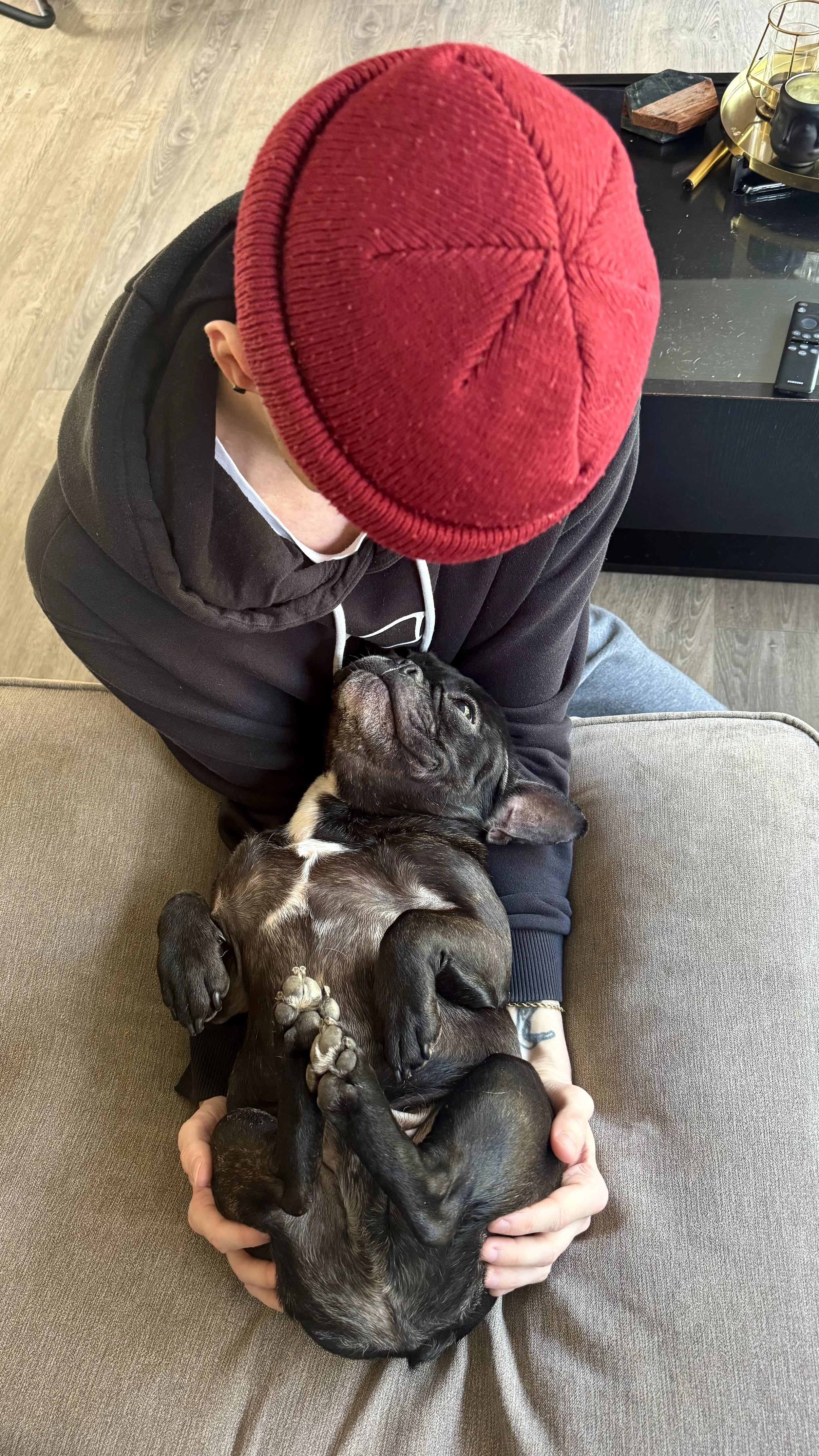Person wearing a red beanie and black hoodie holding a black puppy on a gray couch.