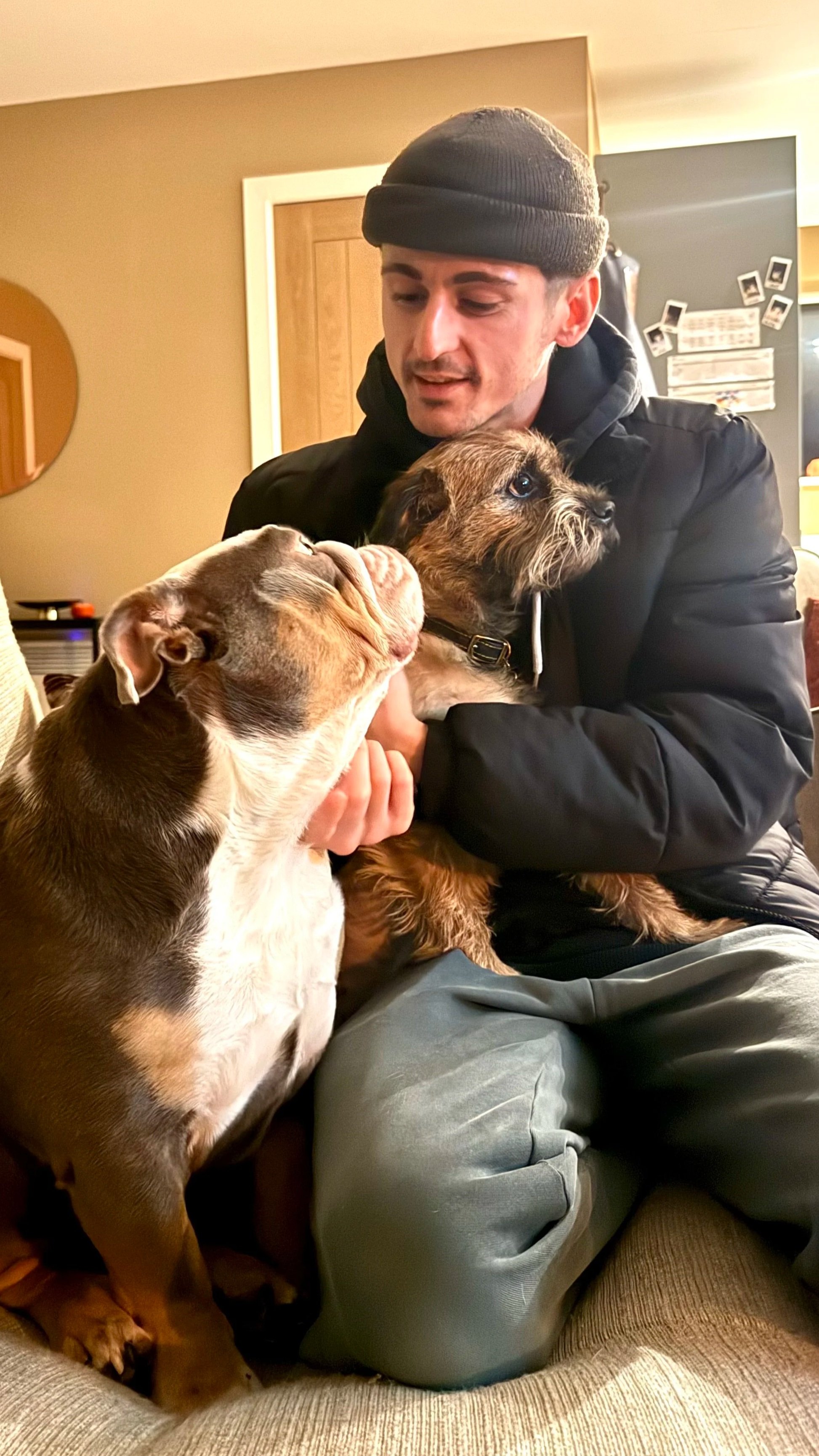 A man in a black beanie and black jacket sitting on a couch holding two dogs, a bulldog and a scruffy terrier mix, in a cozy room with a beige wall and a blackboard in the background.