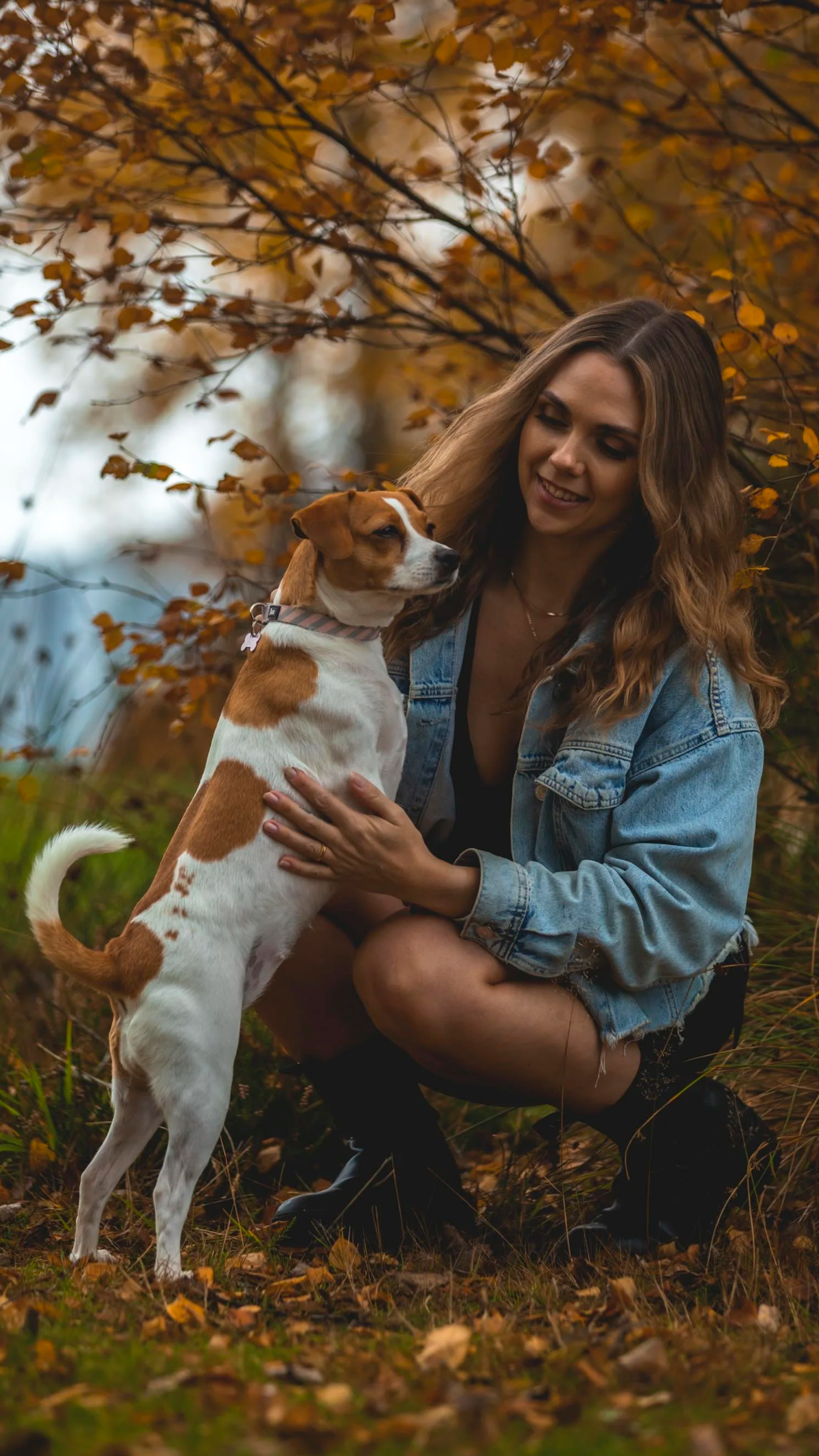 A woman with long wavy hair squatting outdoors in autumn, smiling at her dog, a small brown and white mixed breed, sitting upright and looking back at her, surrounded by fall foliage.