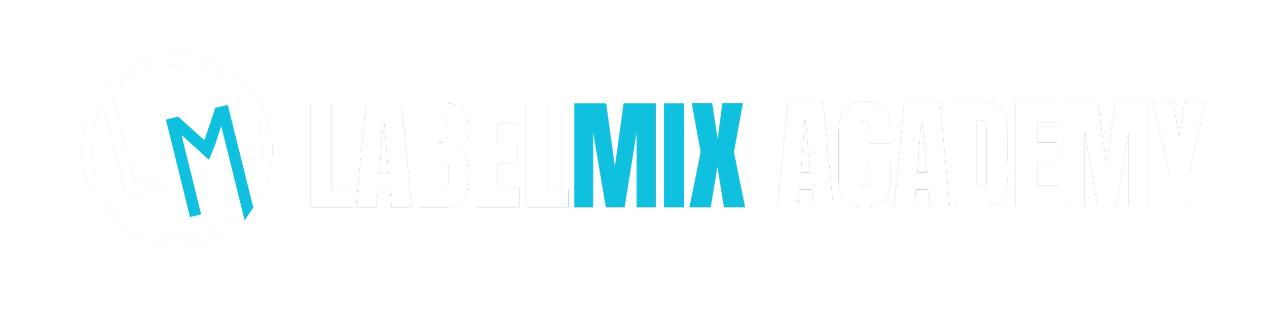 Logo for LabelMIX Academy with a black background, a circle with stylized L and M, and the words 'LabelMIX Academy' in white and blue text.