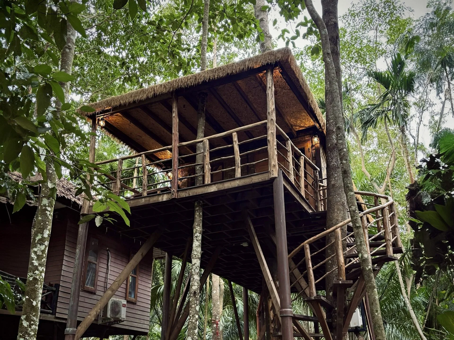 A wooden treetop house at Khao Sok Paradise Resort, raised on stilts among rainforest trees with a stair up to its veranda.