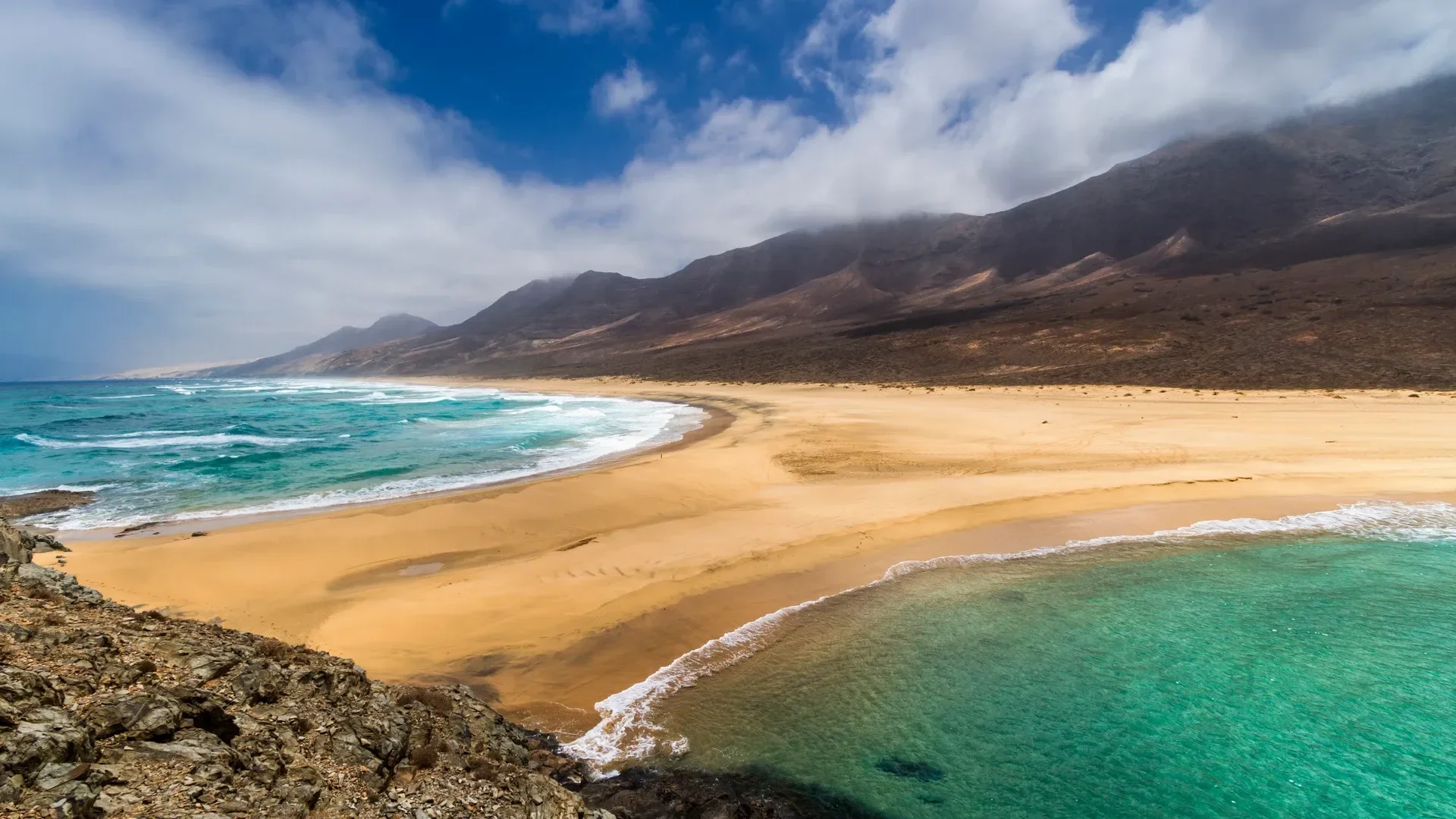 A wide volcanic coastline on the Canary Islands in soft winter light, black sand and pale surf, no people, no landmarks in sharp focus.