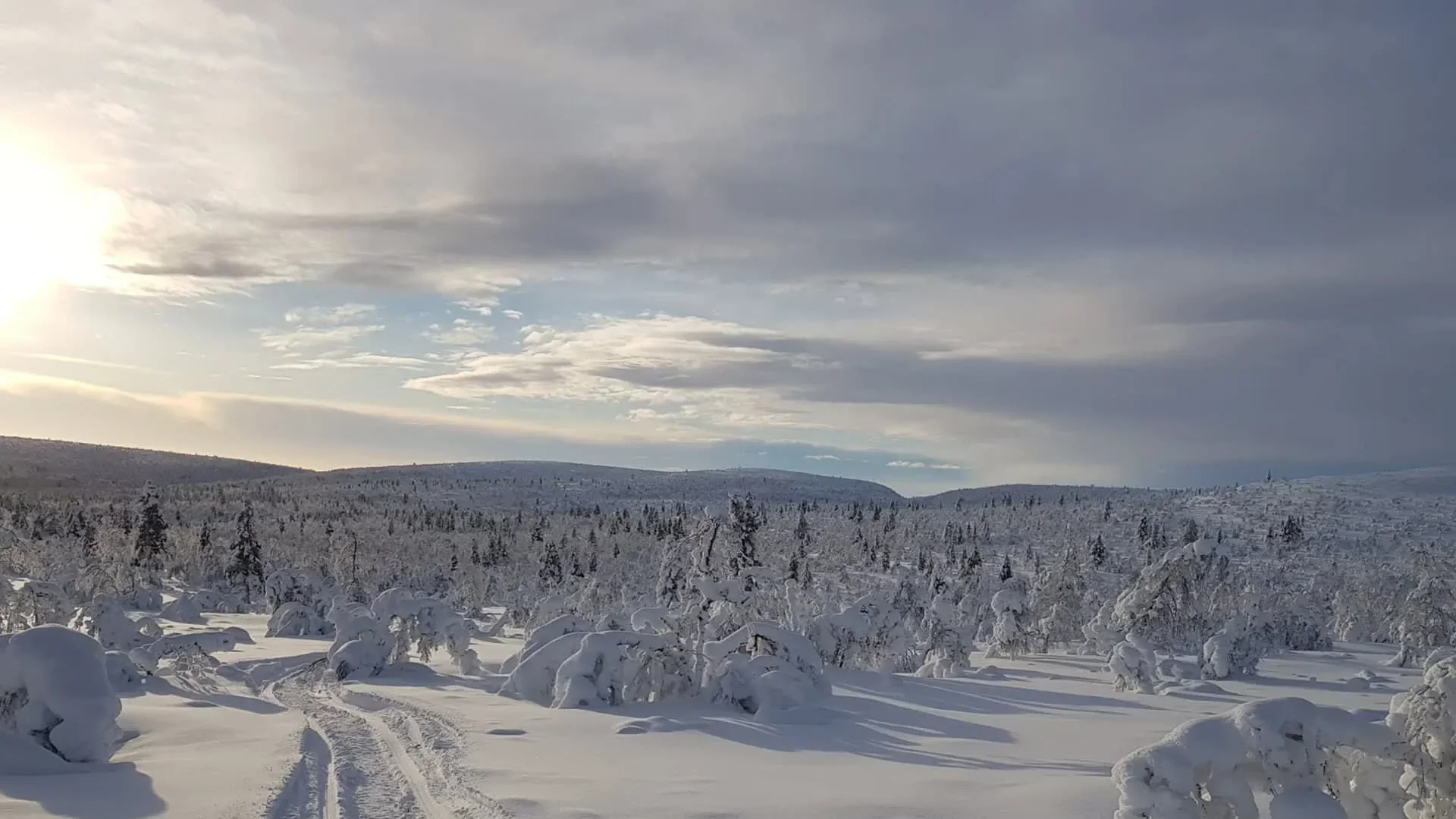 A quiet snow-covered forest clearing in Finnish Lapland at dusk, soft blue winter light, empty of people.