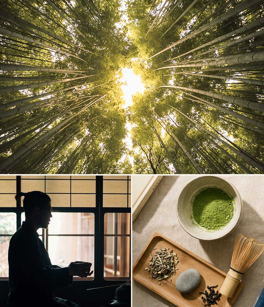 A selection of images showing a bamboo forest, taking tea and the ingredients for making Japanesetea.