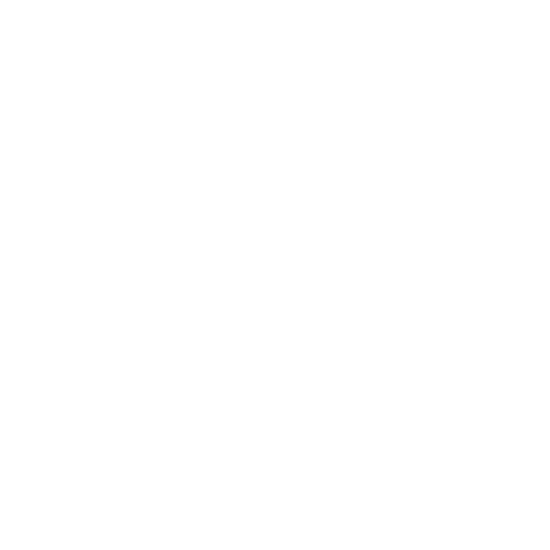 A leaf shape outline with a small central lightening bolt icon.