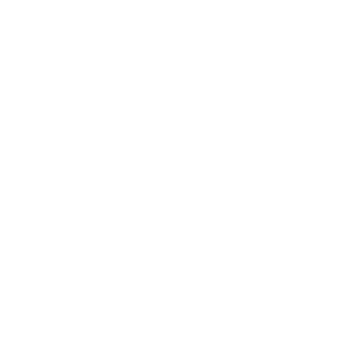 Black and white icon of a medal with a circular top and a ribbon at the bottom.