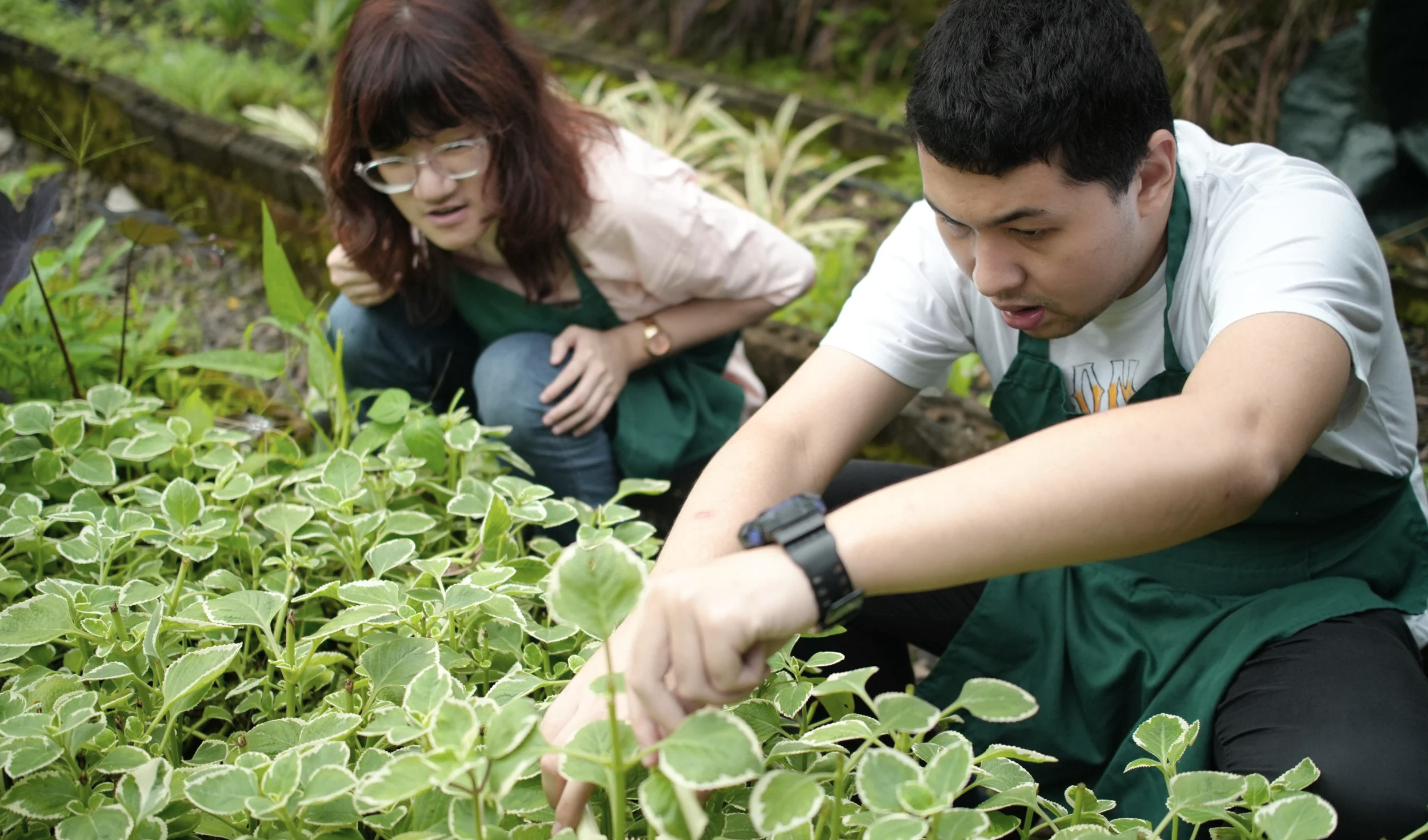Participants at PUPA Center engaged in practical job exploration through hands-on horticulture activities, building vocational skills and workplace readiness in a real-world setting.