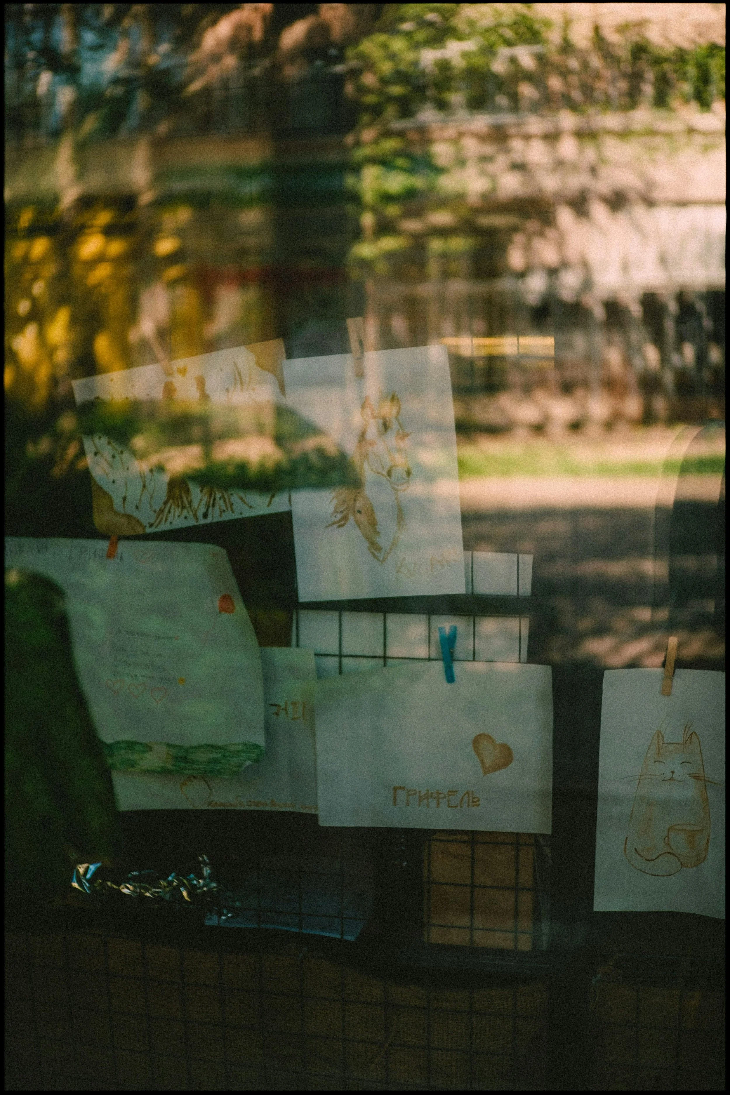 A window with drawings and notes pinned to a wire grid, reflecting trees and buildings outside.