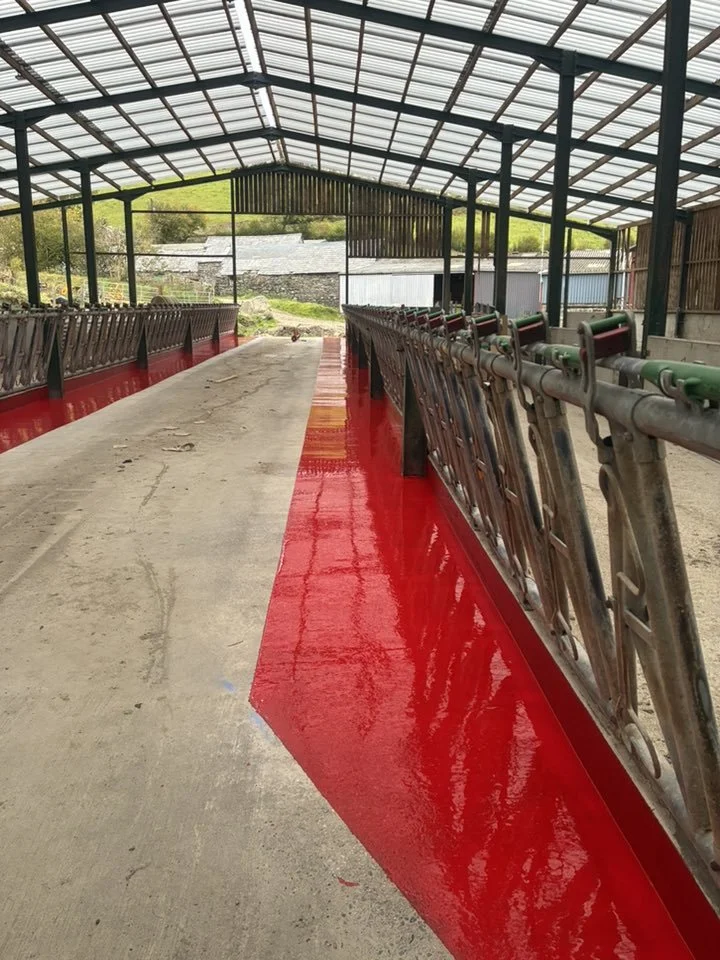 A barn or shed with a metal roof, featuring cattle headlocks with red paint on the ground beside them, possibly for cleaning or marking.Resin floors The Wye Valley, Herefordshire, South Wales, West Midlands, west, cardiff, birmingham, bristol