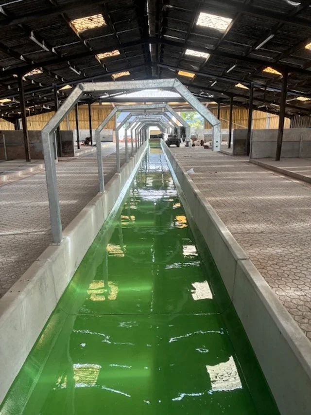 Indoor facility with a long water channel filled with green-colored water, covered by a high ceiling with skylights, and supported by metal arches.Resin floors The Wye Valley, Herefordshire, South Wales, West Midlands, west, cardiff, birmingham,