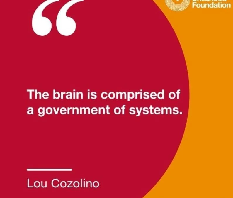 Why is Executive Functioning So Vulnerable?