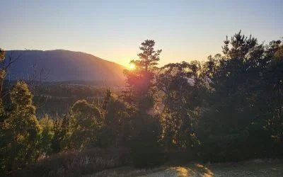 Bush Tucker, Sunrise and Coffee