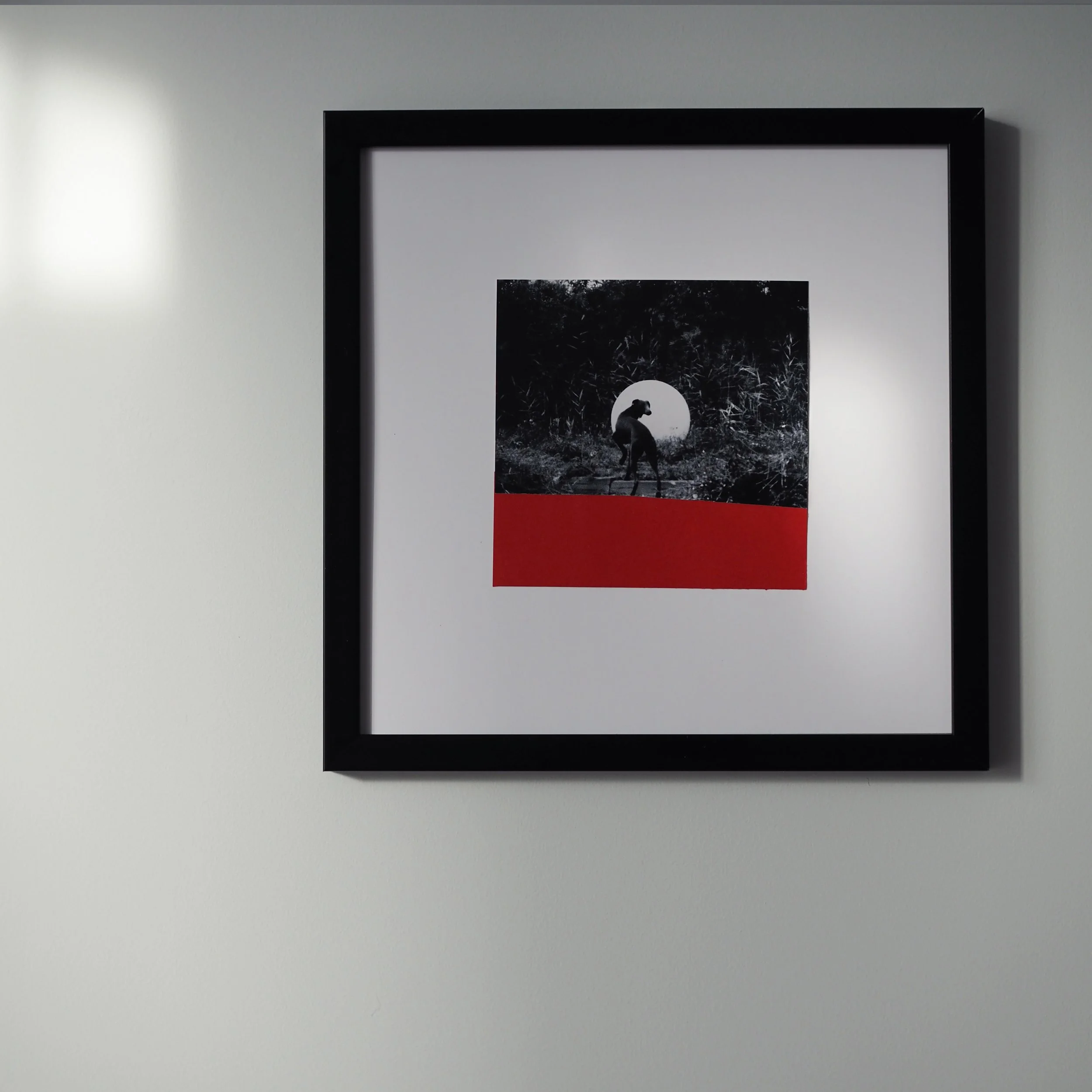 "Борзая", 2026, 30/30, архивный пигментный отпечаток, бумага Fabriano, Italy