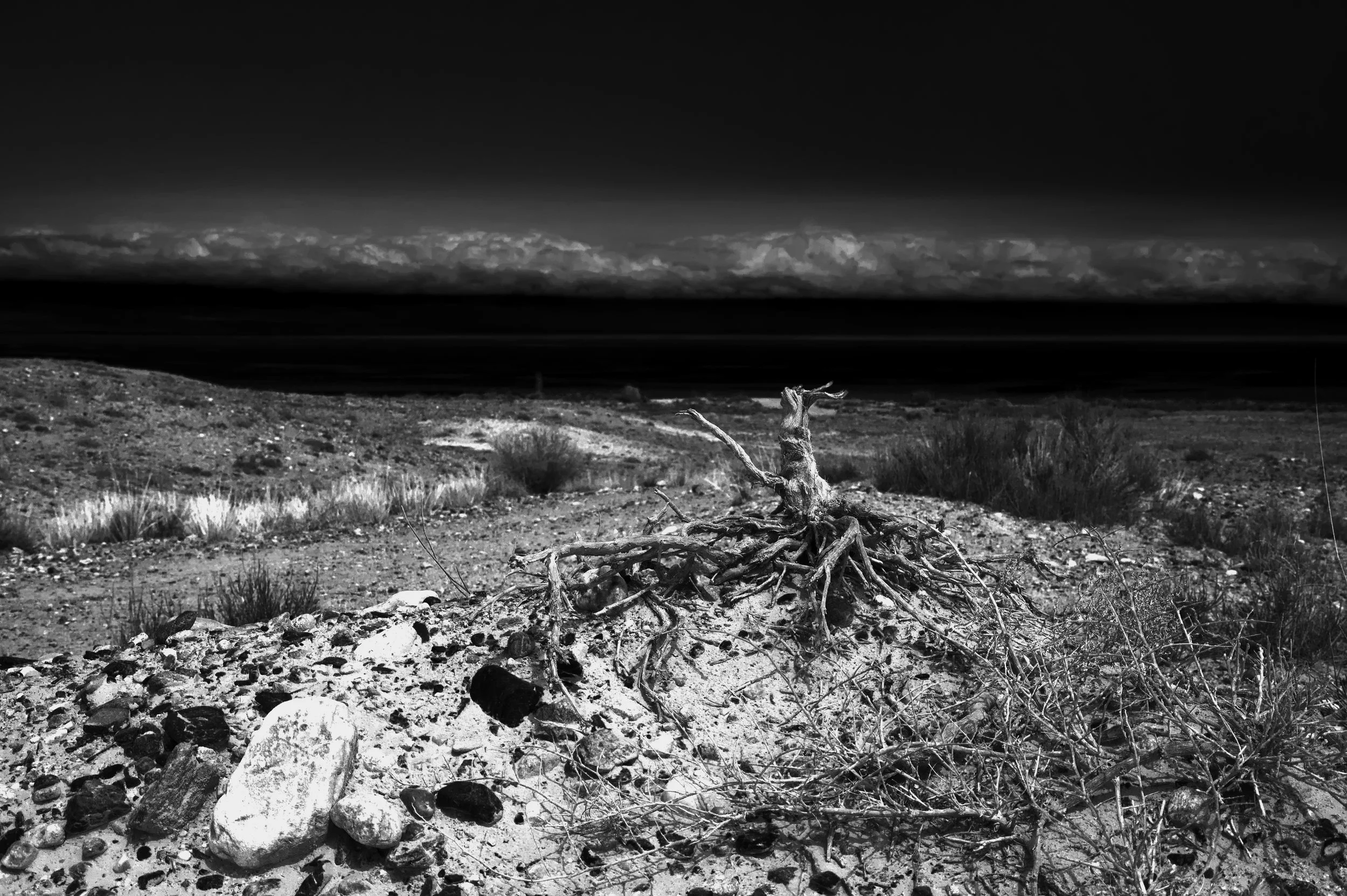 Интервенция