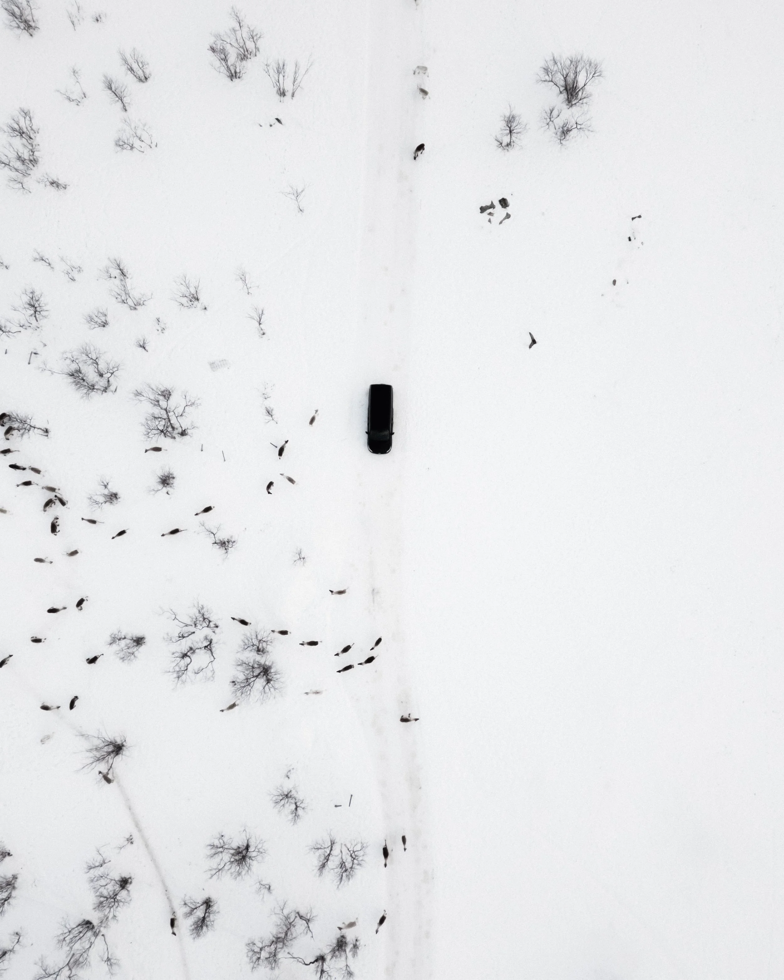 Private Arctic Lapland experience with exclusive wilderness setting