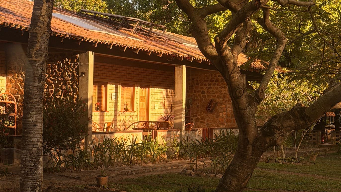 A rustic house with a brick exterior and a tiled roof, surrounded by trees and plants, with warm sunlight casting shadows on the facade.