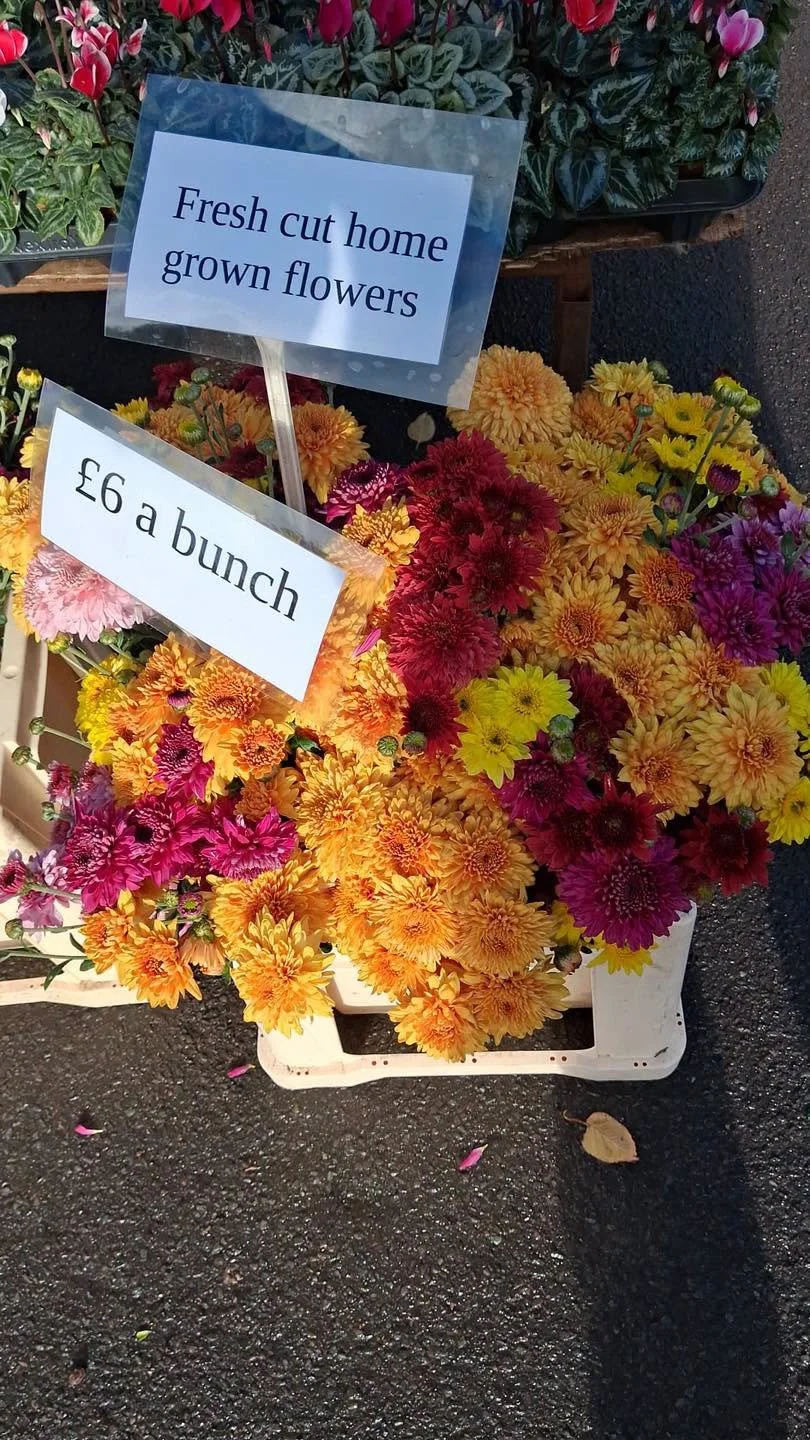 Fresh cut yellow and purple home grown flowers, £6 a bunch