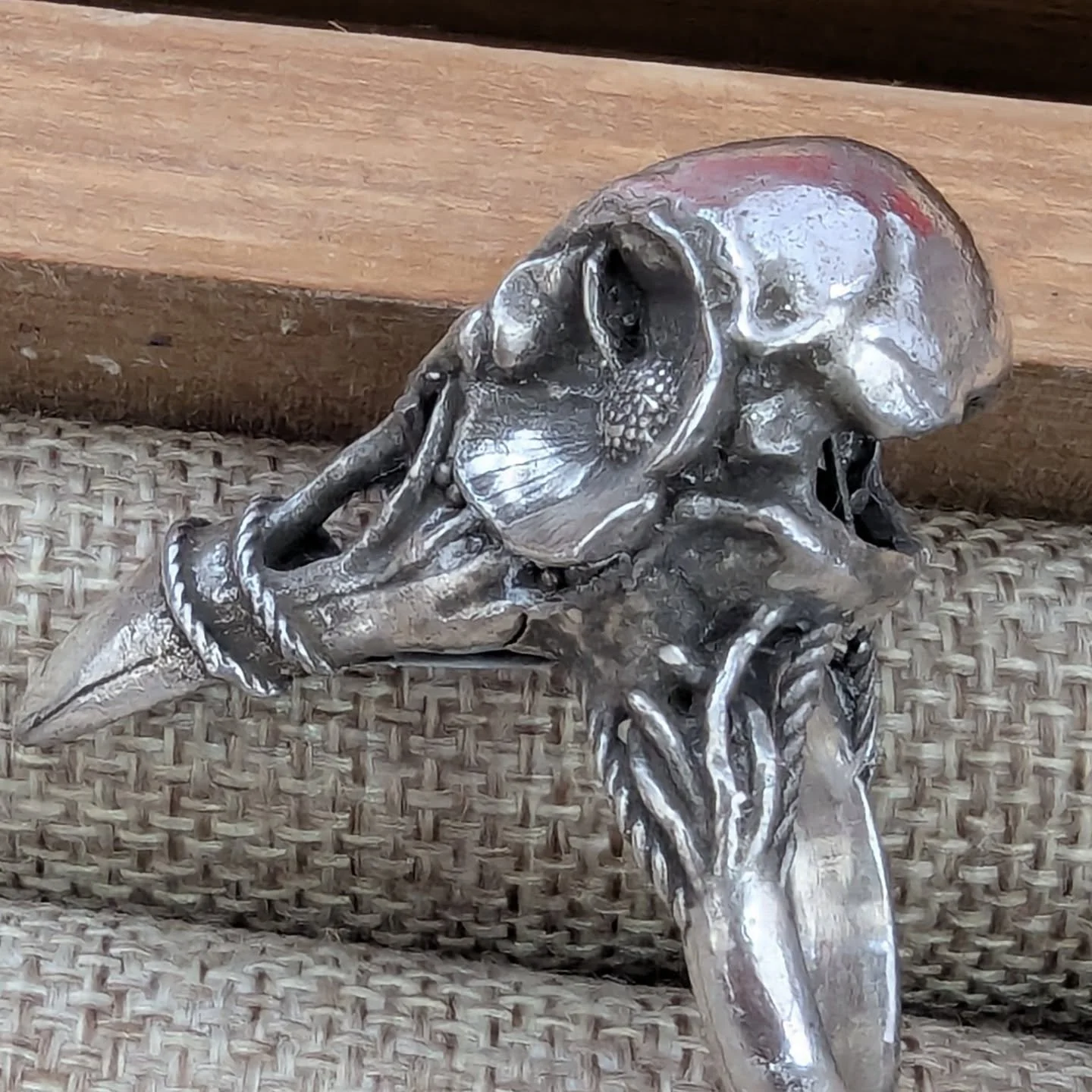 Silver bird skull cane topper