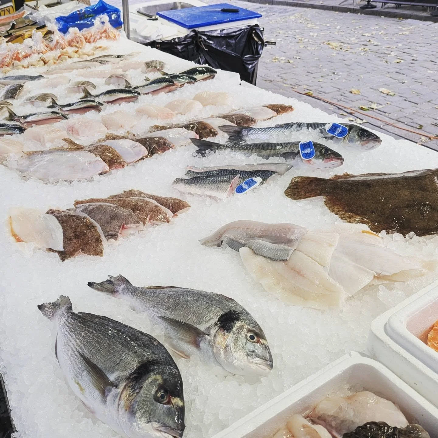 various fish on display on ice