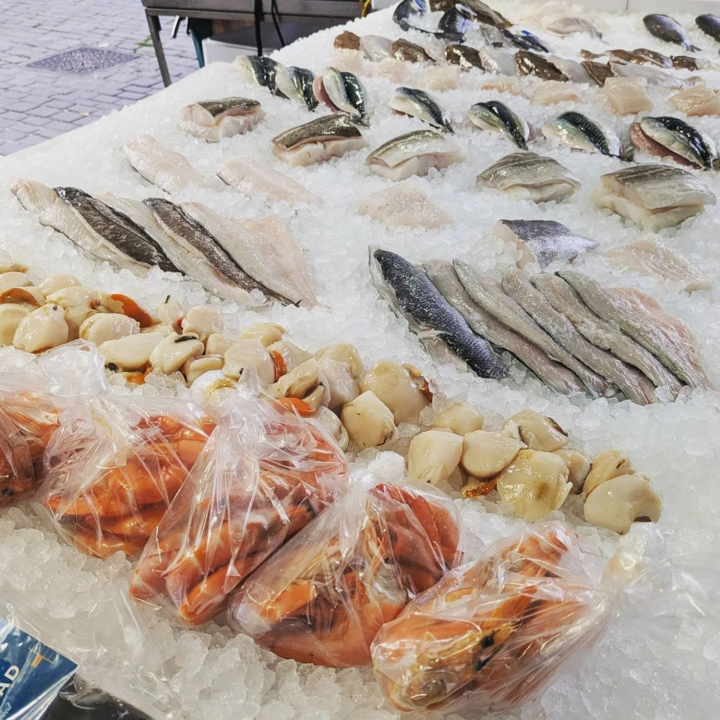 Various chilled fishes and shelfish