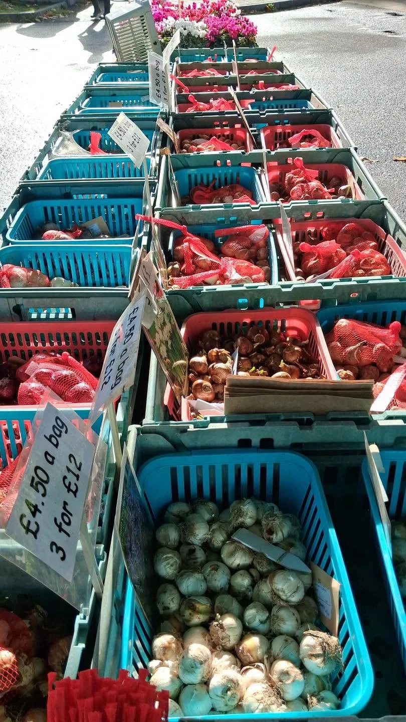 Many onions of many varieties