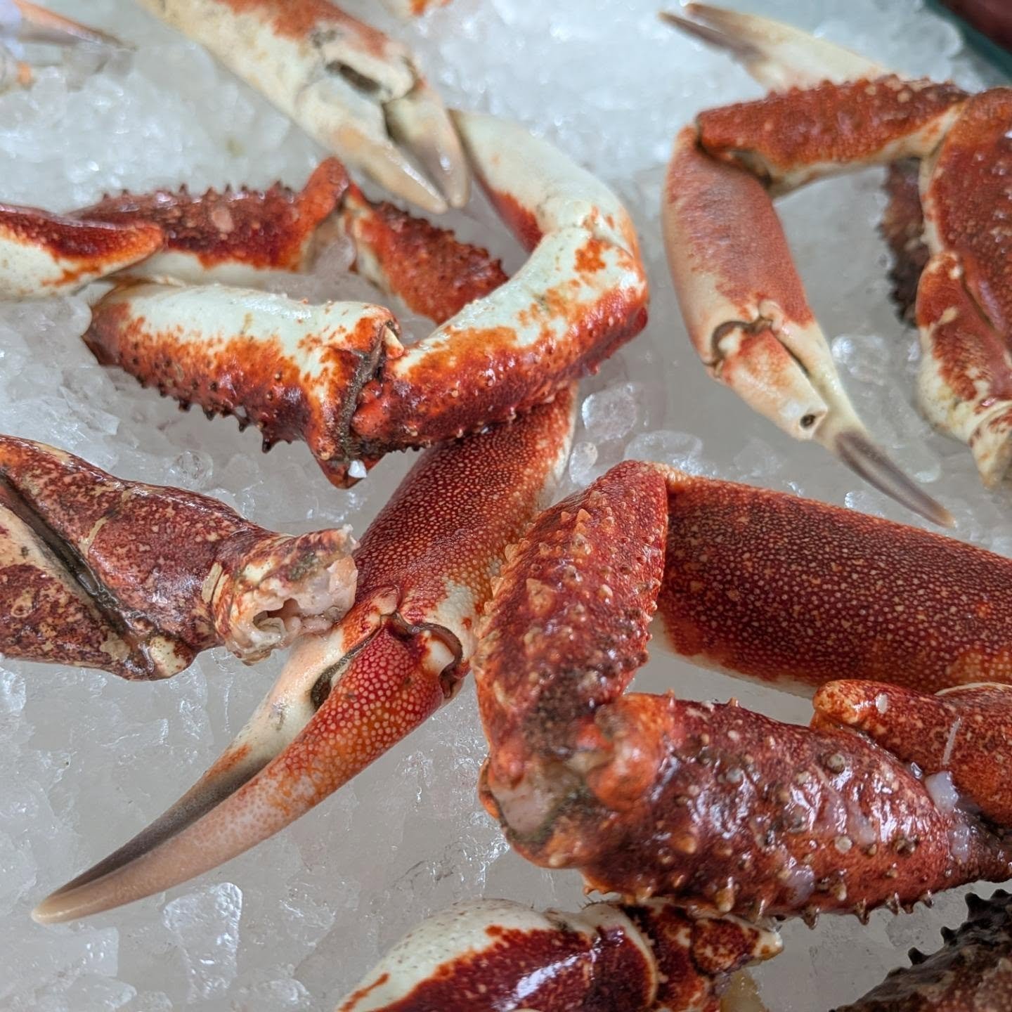crab legs