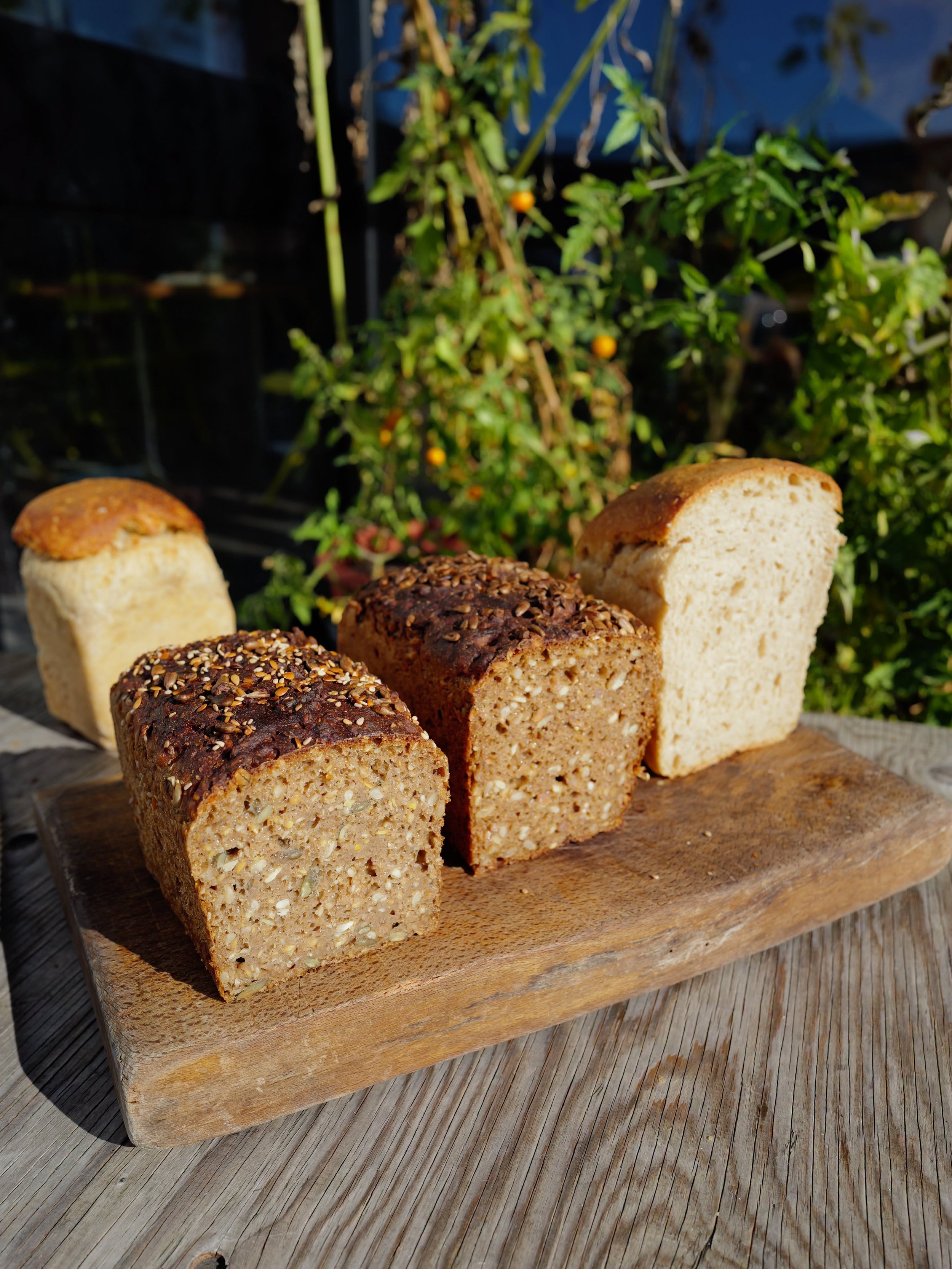 various rye breads