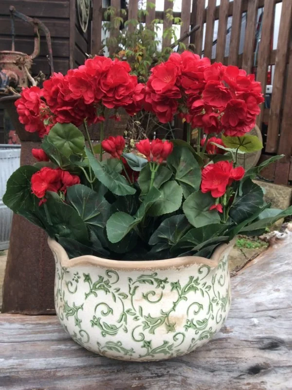 Red flowers in decretive pot