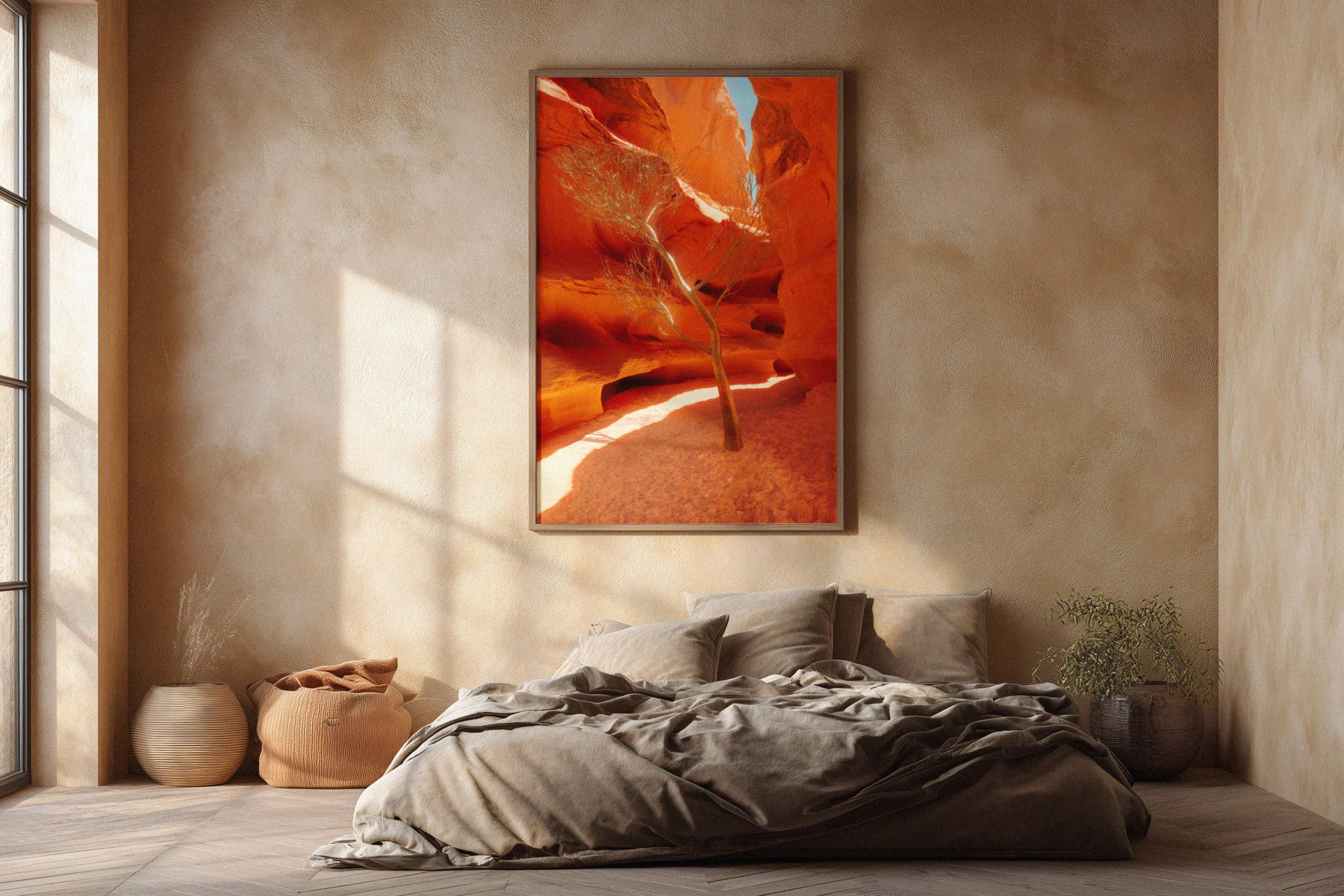 Alex Purcell Arizona_05.jpg